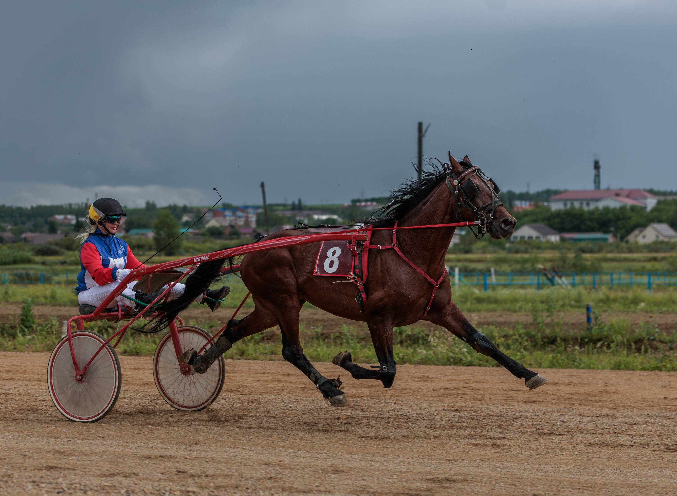 2025. Конный фотограф в Красноярске — Любовь Похабова