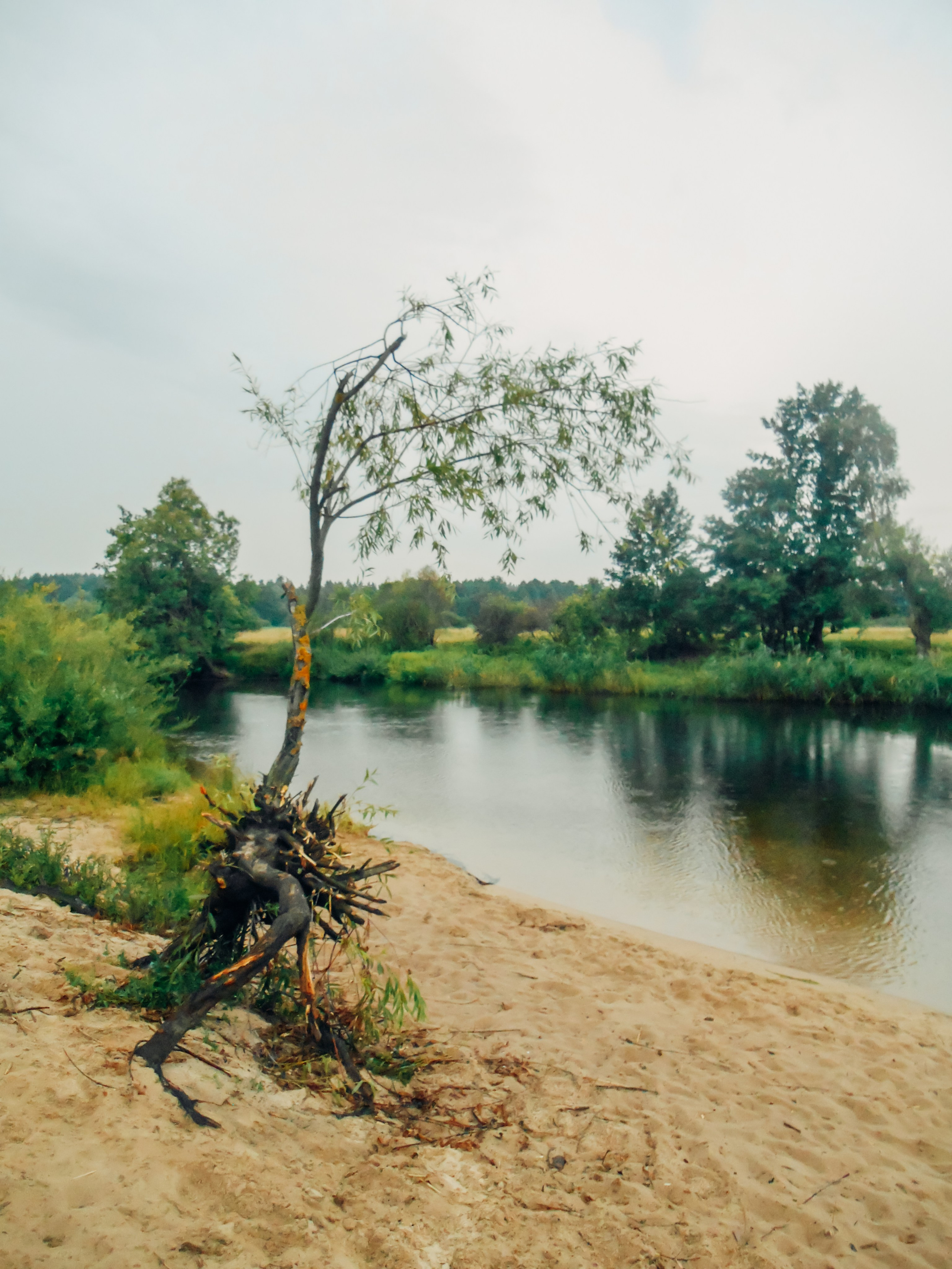Воронеж. Репортажный и портретный фотограф в Липецкой, Воронежской, Московской области Тёма Белоусов