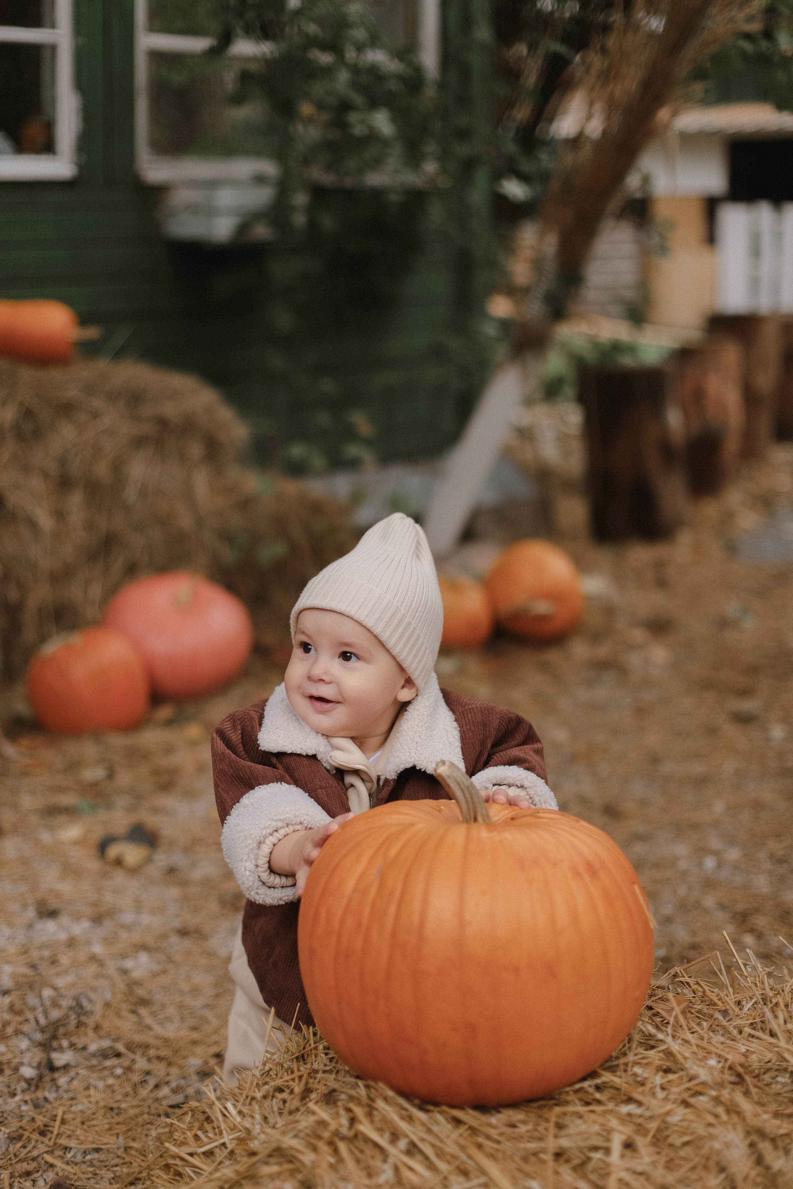 Годик Прохору. Свадебный, семейный и детский фотограф в Люберцах Зайцева Анастасия