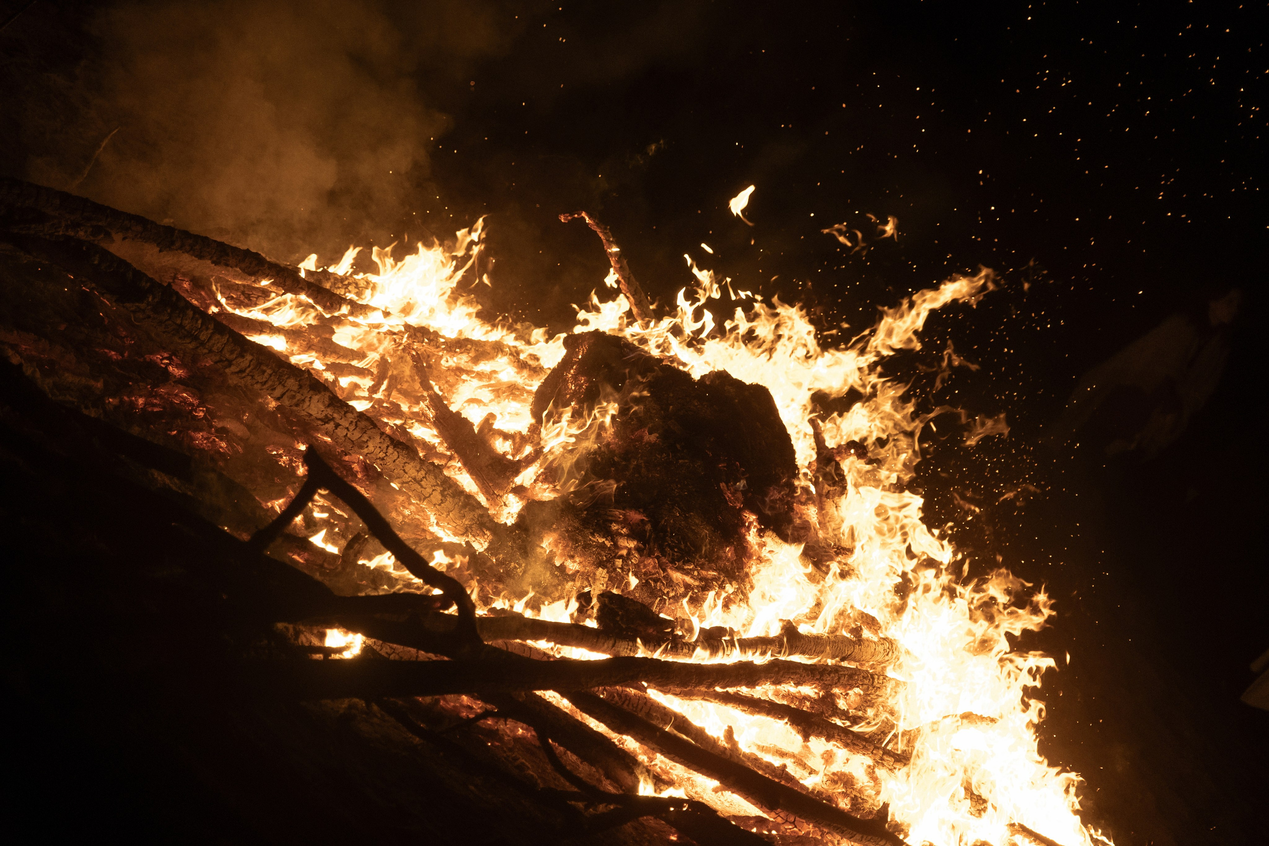 Иннокентий и Елизавета. Свадебный фотограф Дарья Свет