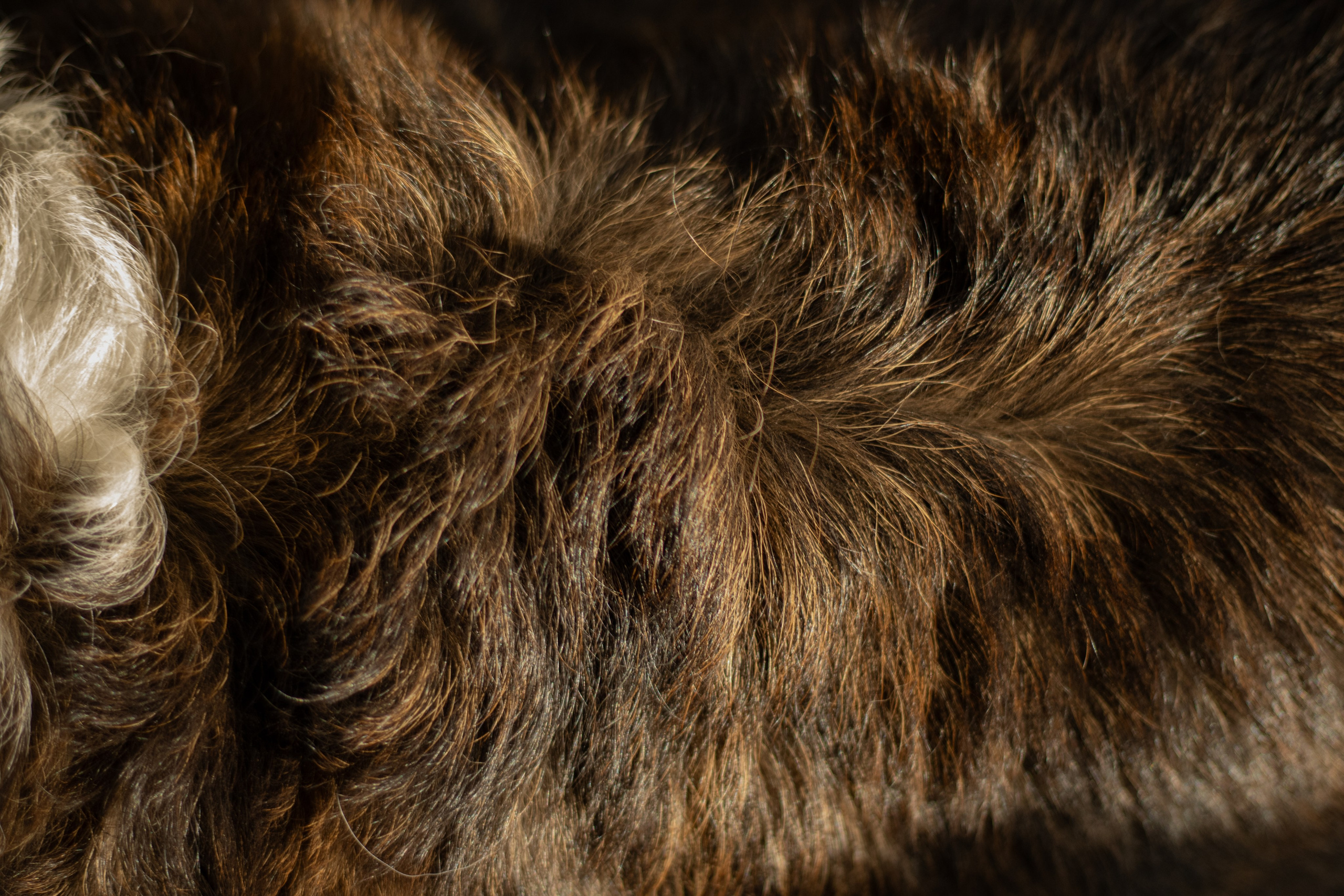 Юлия и Тэя. Катя Попова|ЛайфСтайл фотограф