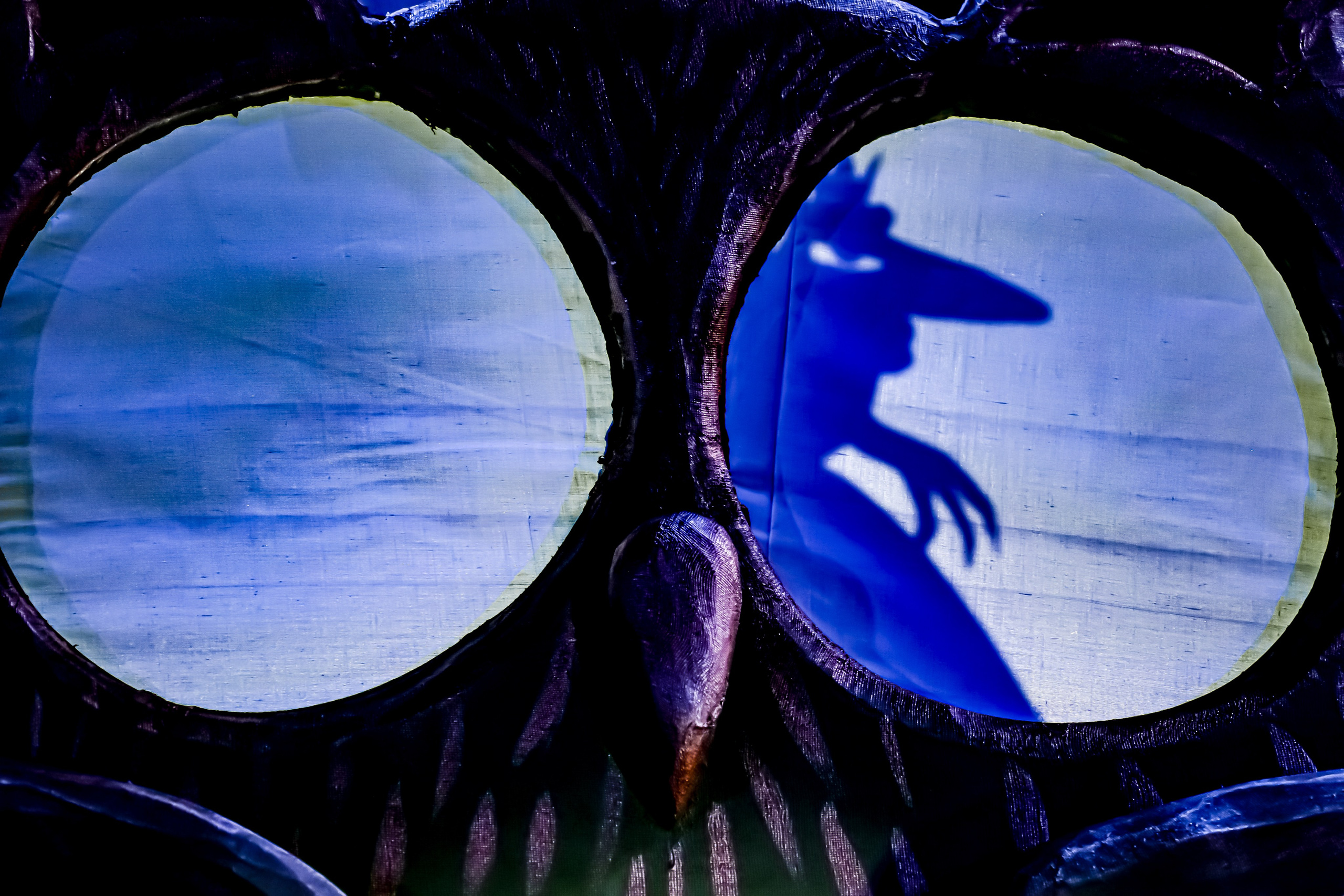 Щелкунчик и мышынный король. Фотограф в Сочи Юрий Шептаев