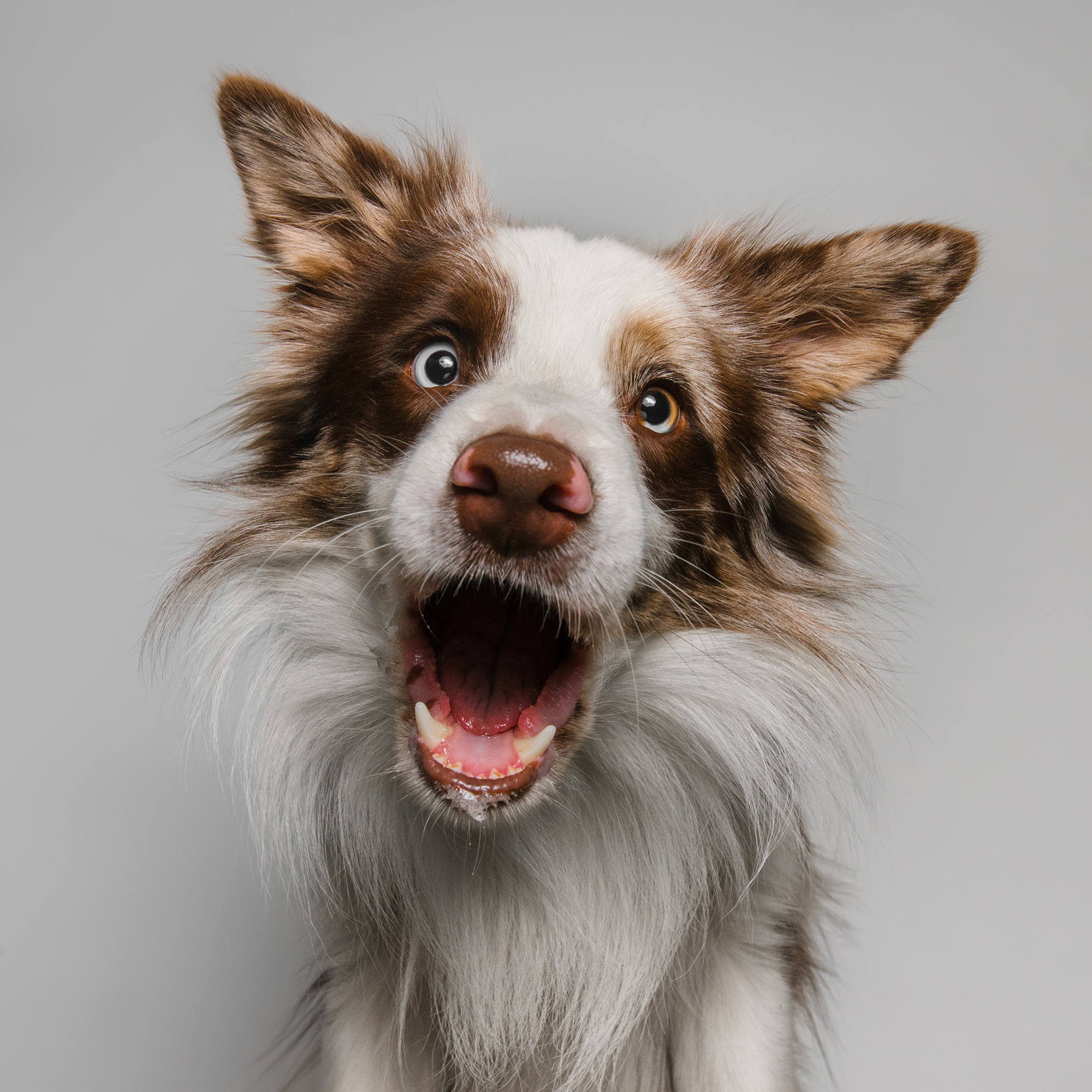 Съёмка с кусочком. Фотограф Анна Тюрина