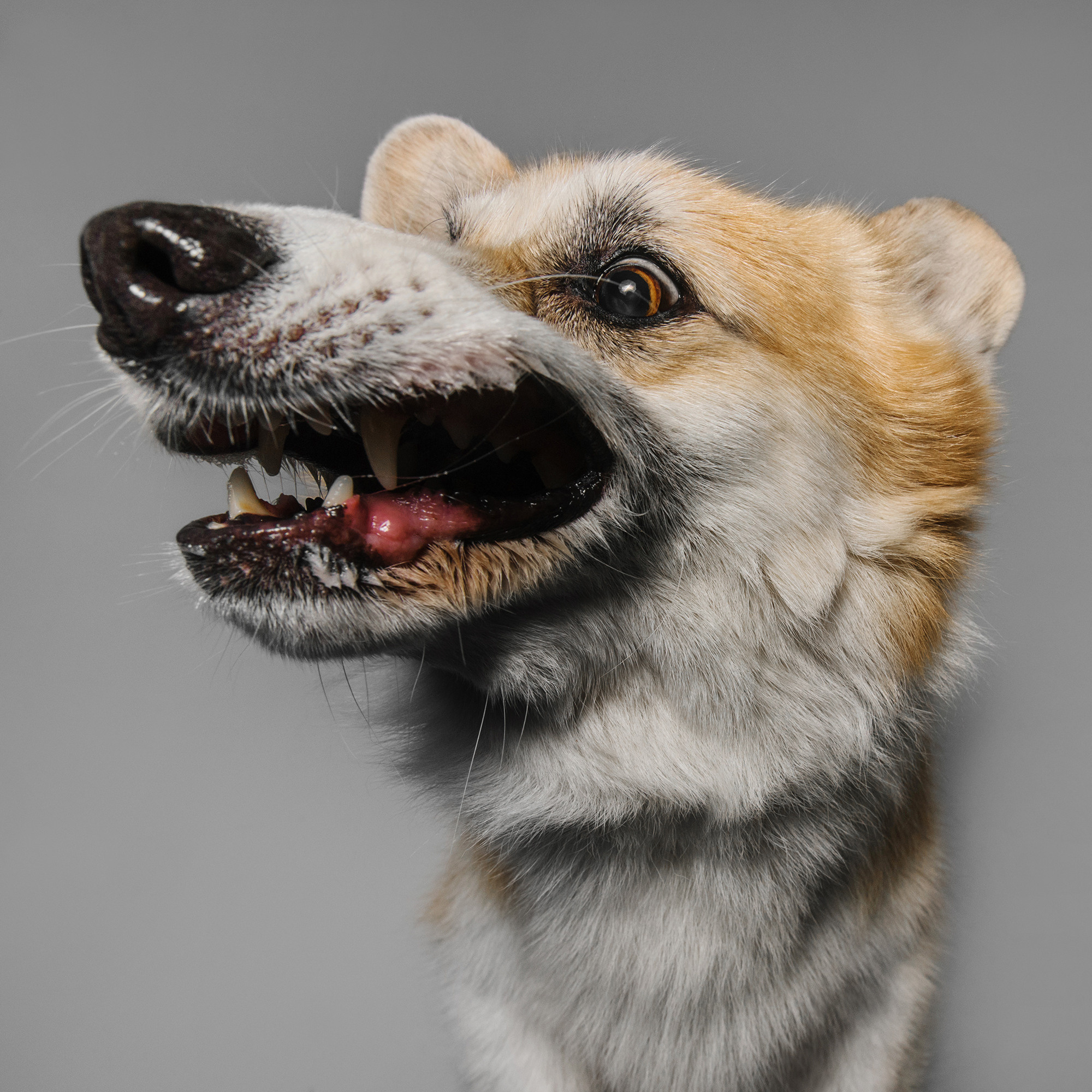 Съёмка с кусочком. Фотограф Анна Тюрина