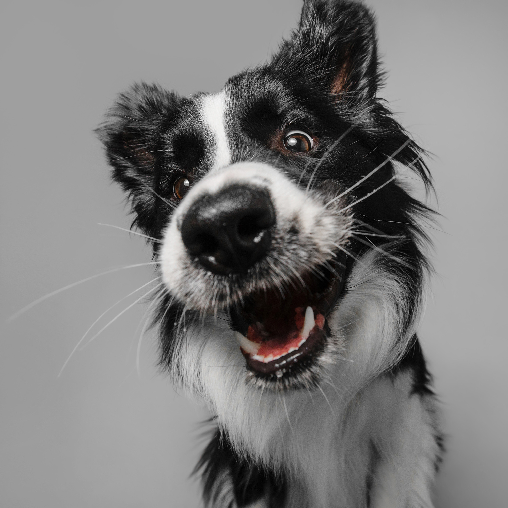 Съёмка с кусочком. Фотограф Анна Тюрина