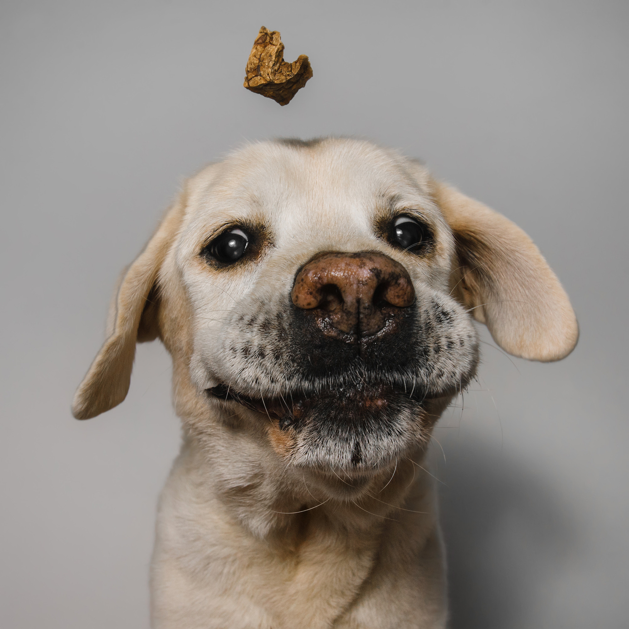 Съёмка с кусочком. Фотограф Анна Тюрина