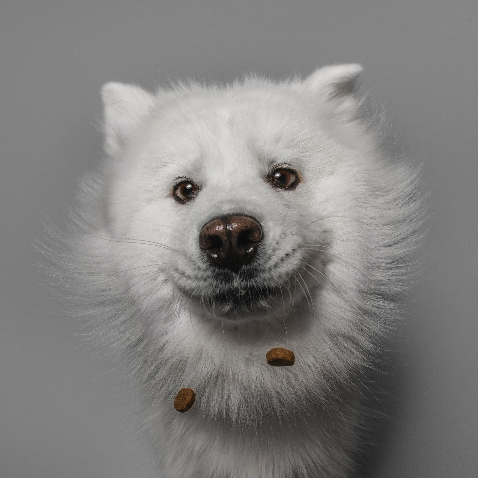 Съёмка с кусочком. Фотограф Анна Тюрина