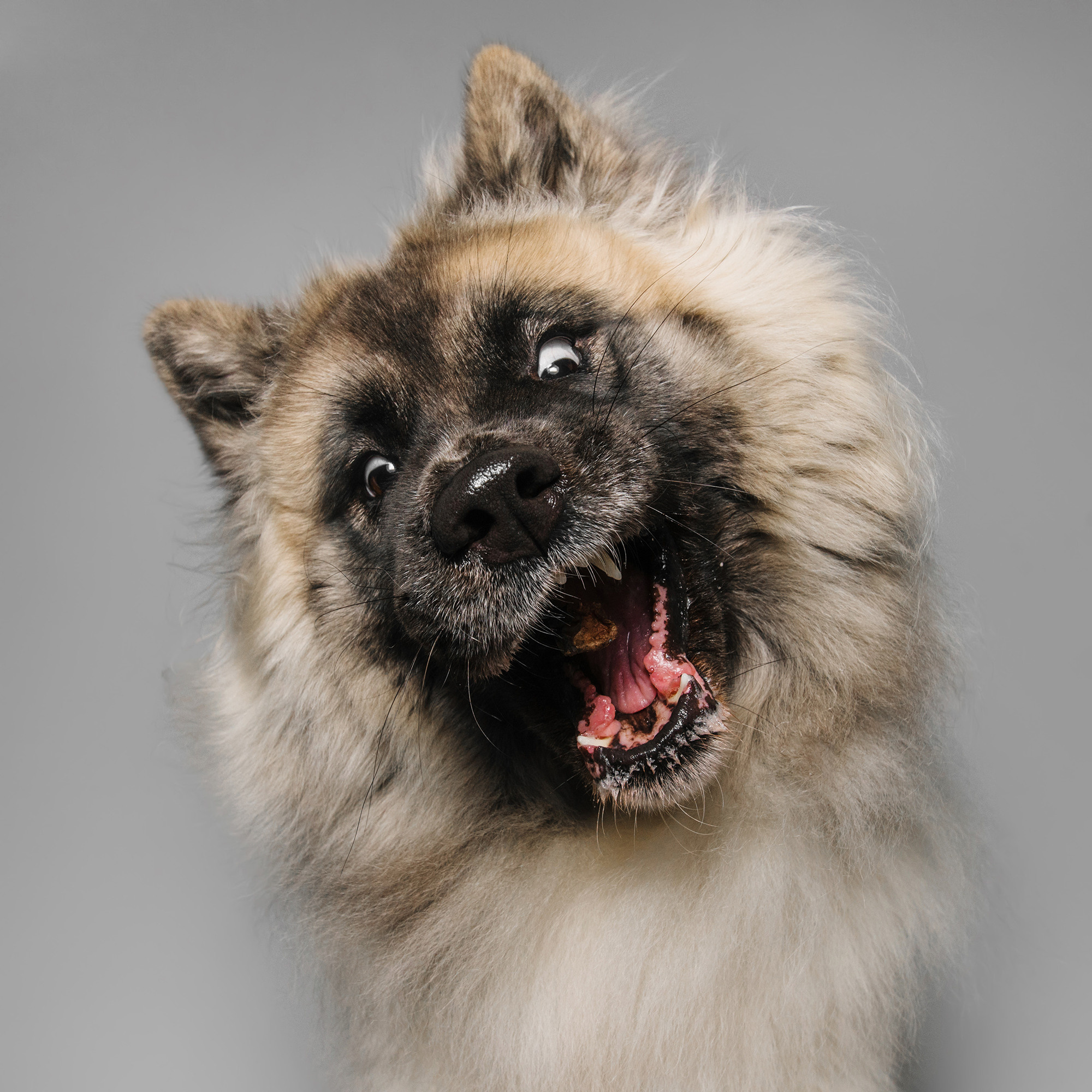 Съёмка с кусочком. Фотограф Анна Тюрина