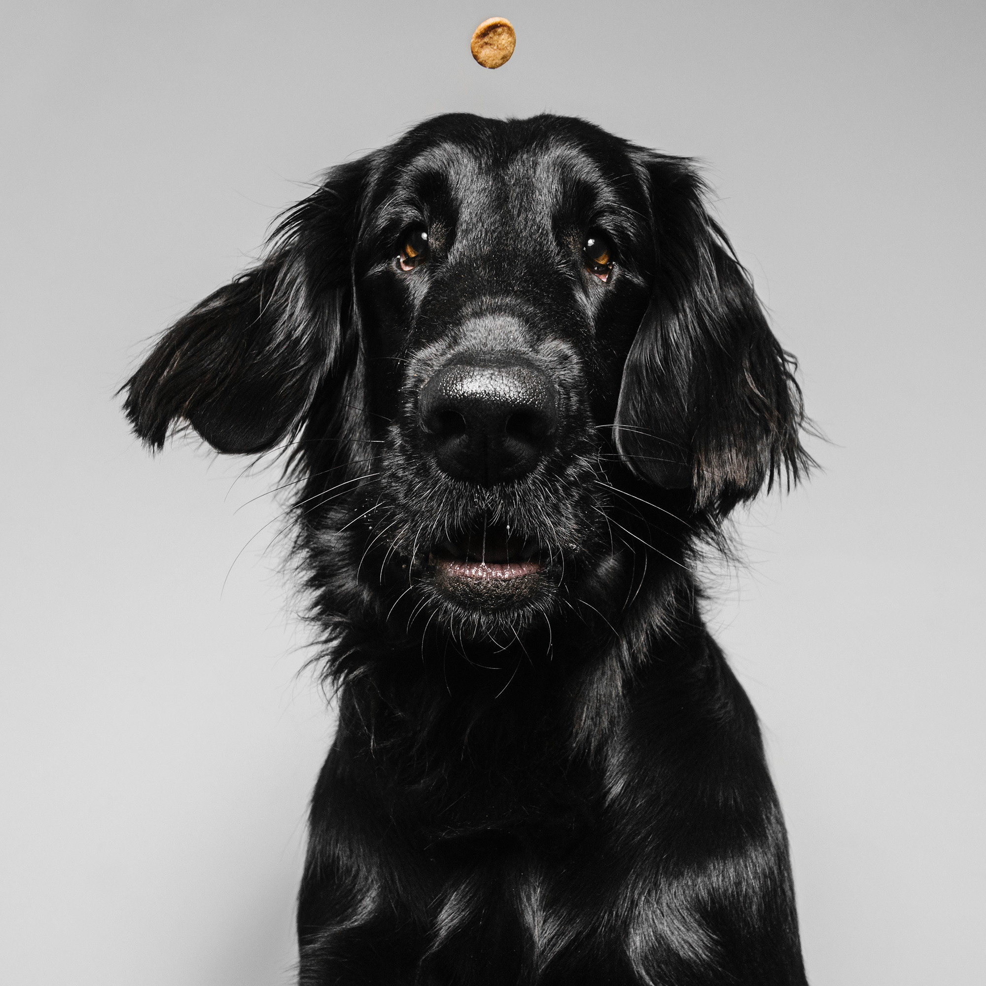 Съёмка с кусочком. Фотограф Анна Тюрина