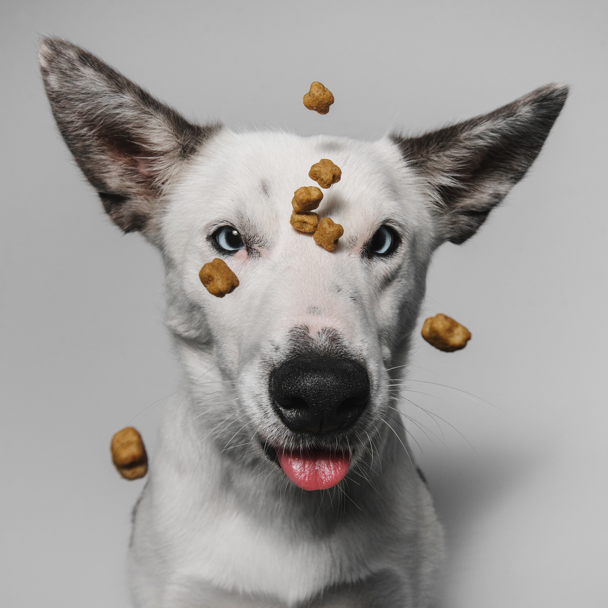 Съёмка с кусочком. Фотограф Анна Тюрина