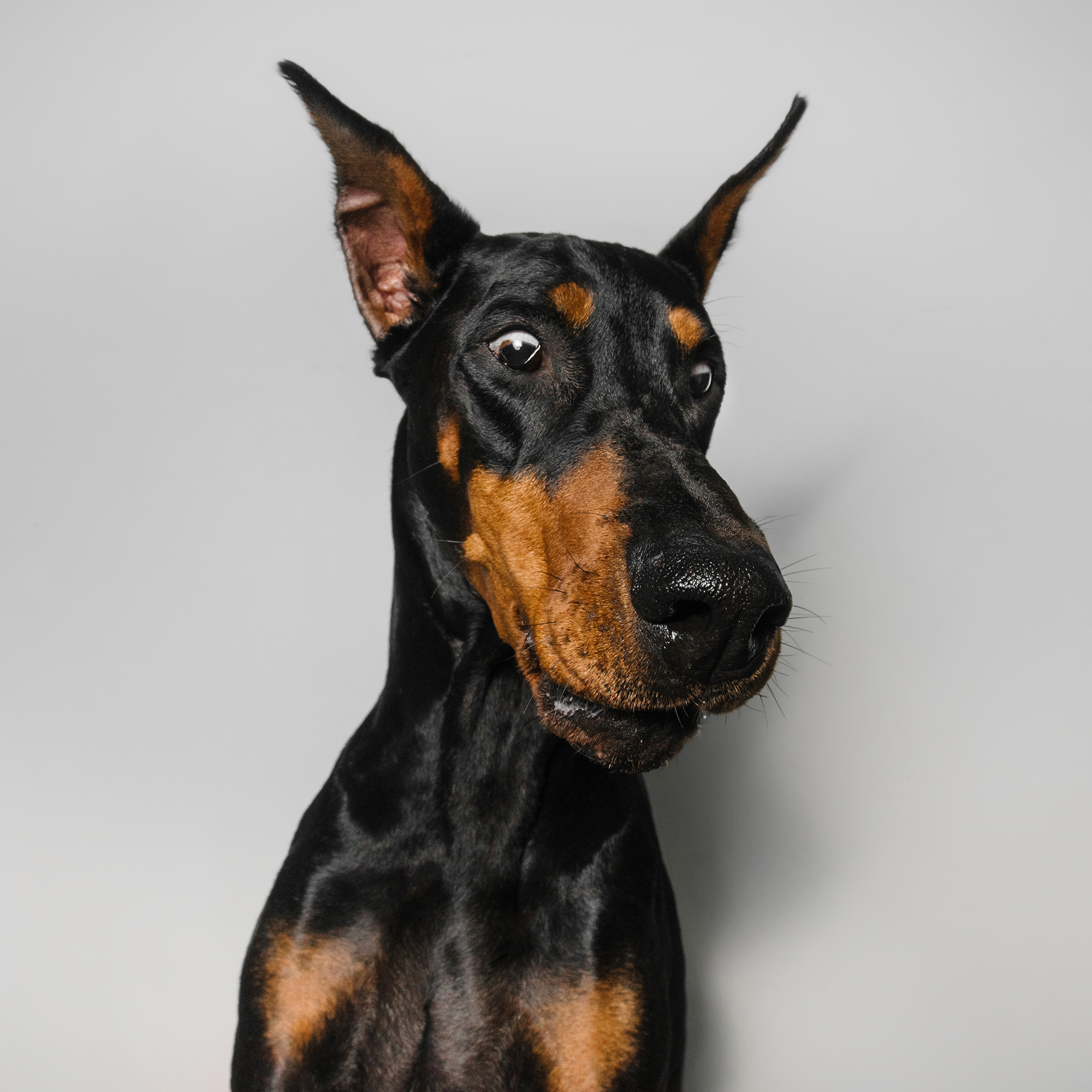 Съёмка с кусочком. Фотограф Анна Тюрина