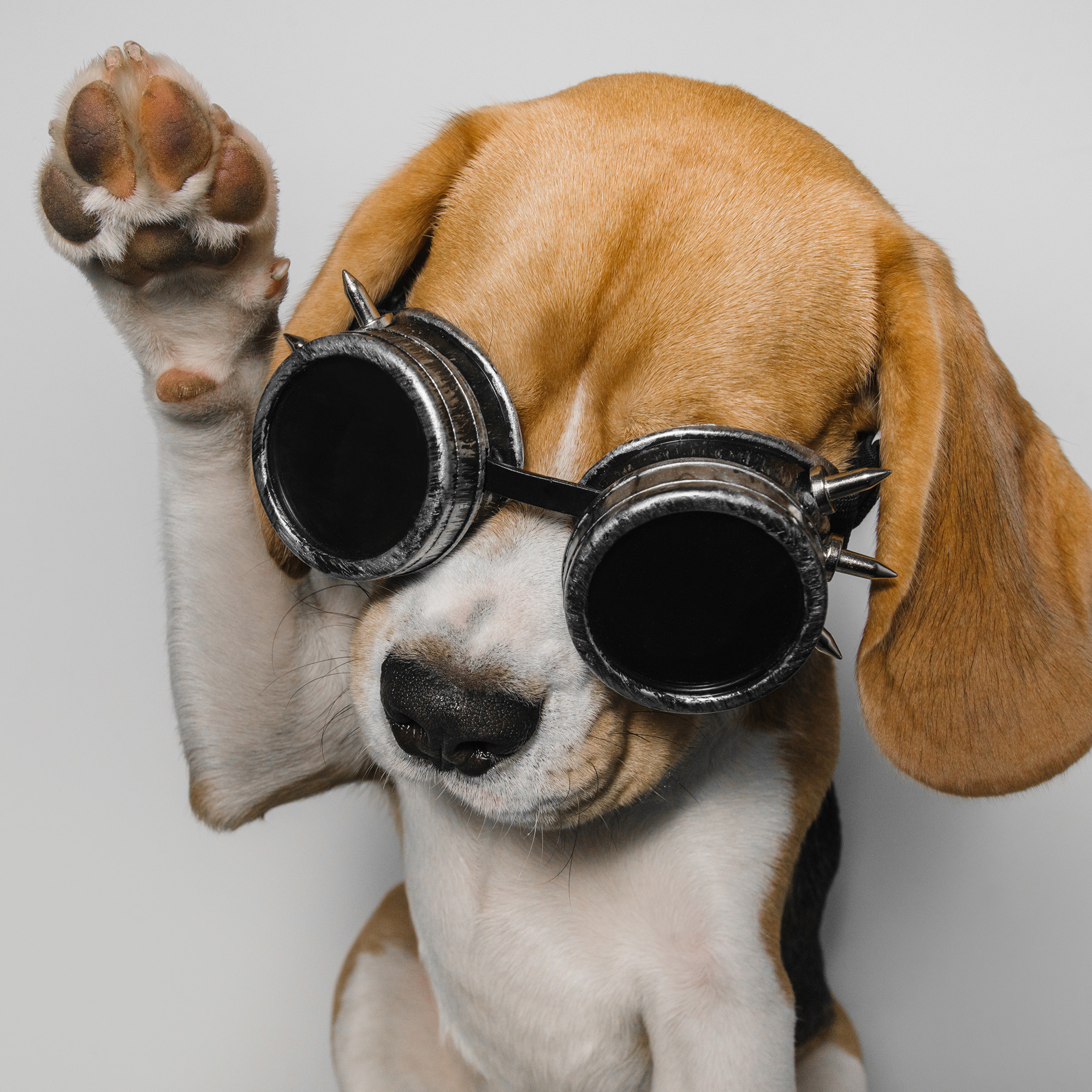 Съёмка с кусочком. Фотограф Анна Тюрина