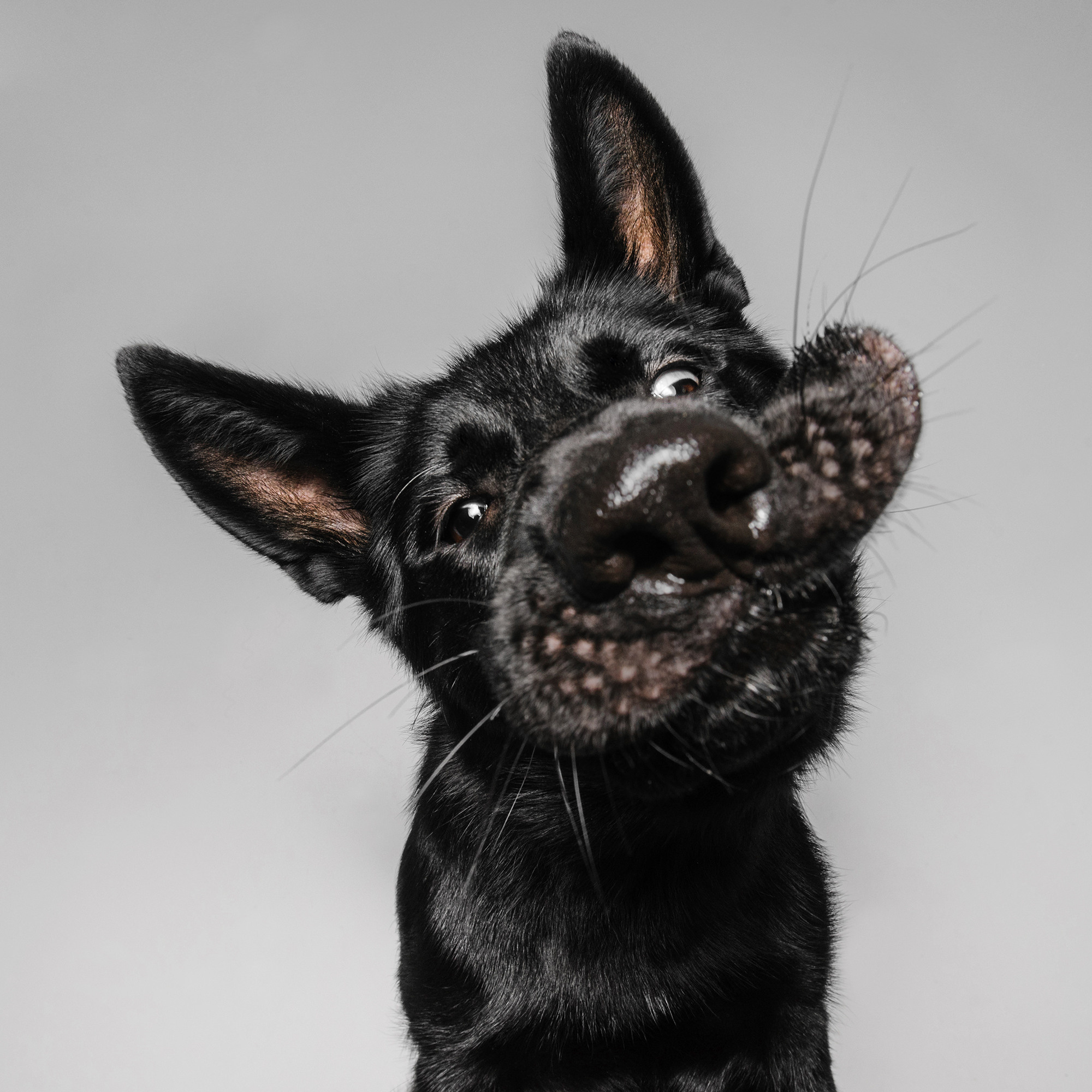 Съёмка с кусочком. Фотограф Анна Тюрина