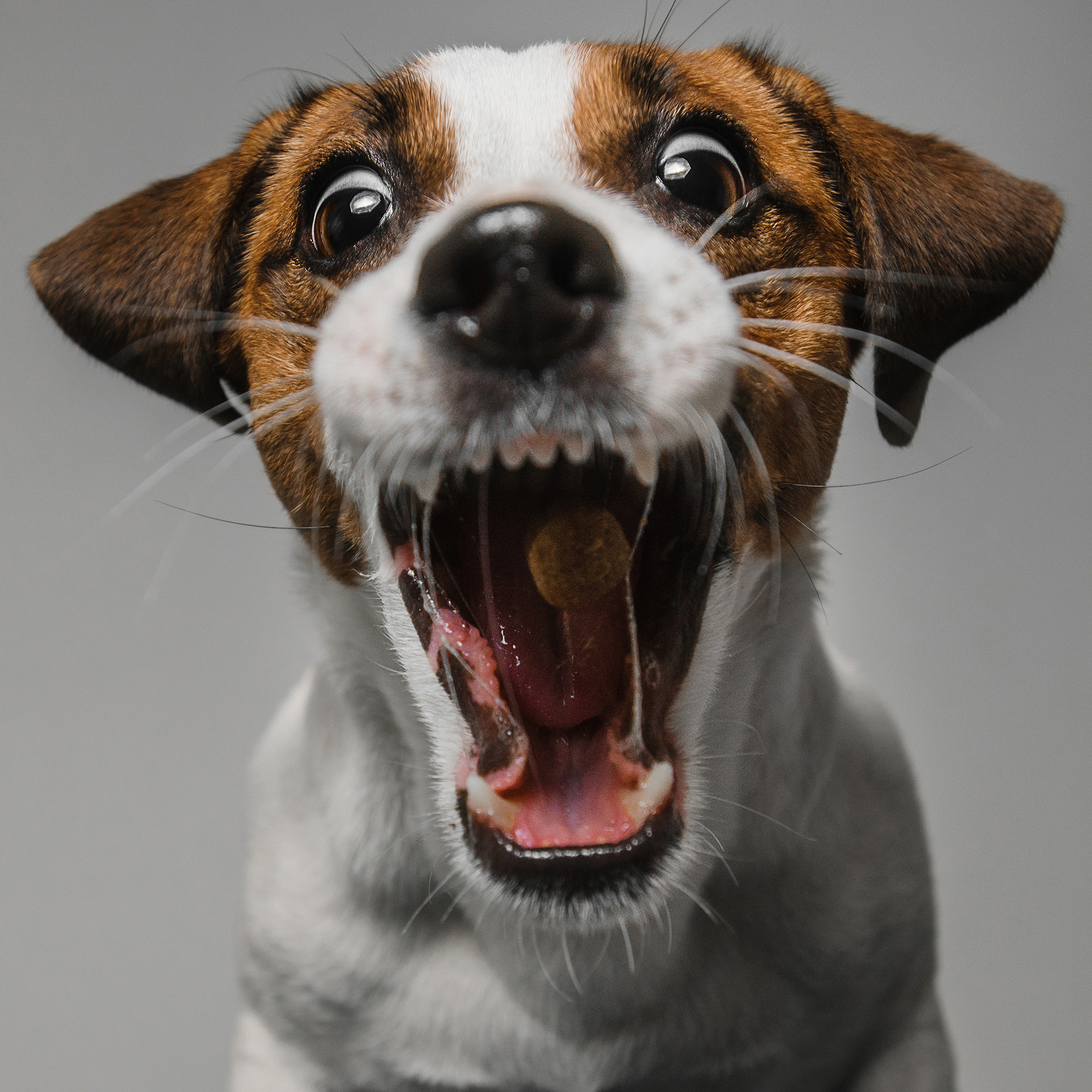 Съёмка с кусочком. Фотограф Анна Тюрина