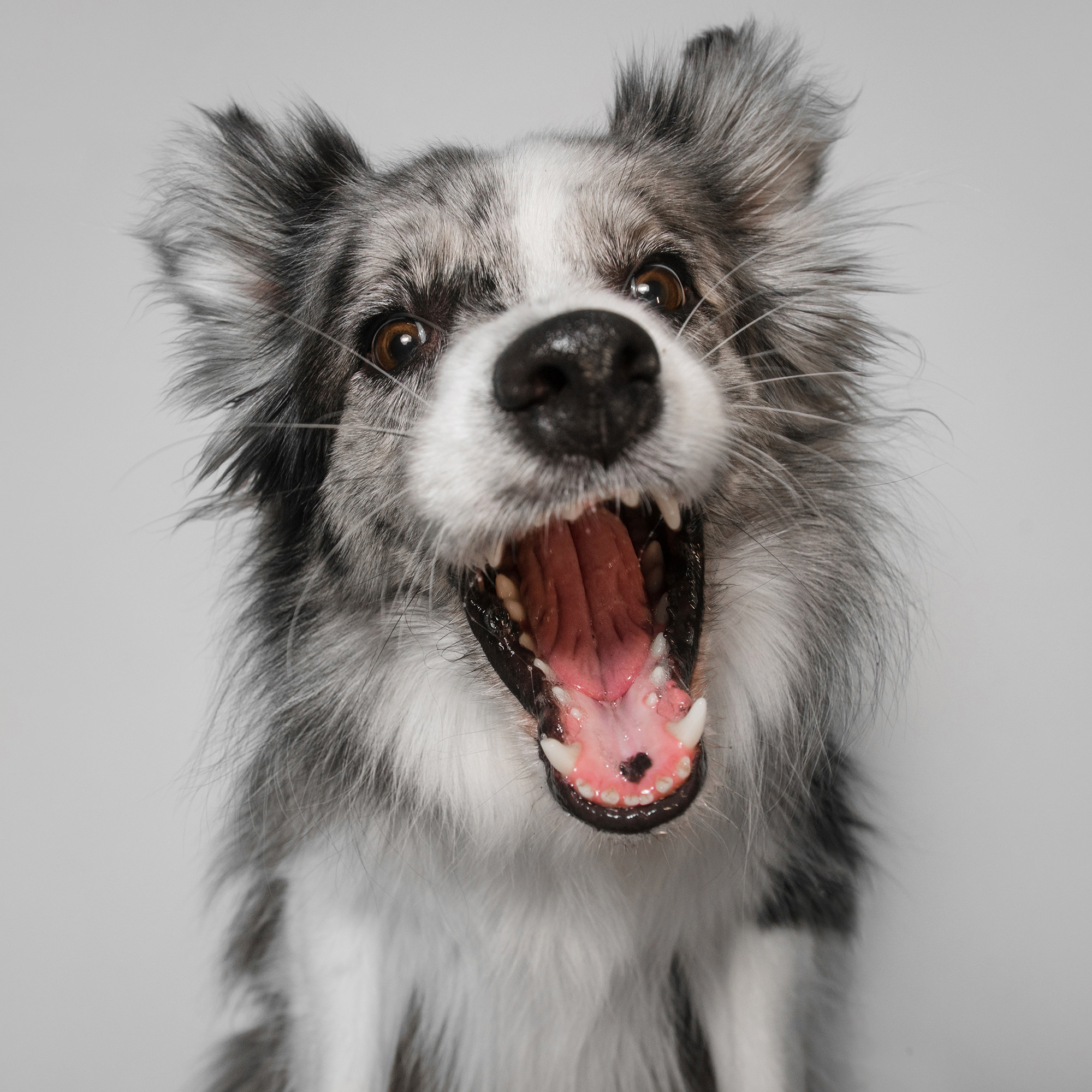 Съёмка с кусочком. Фотограф Анна Тюрина