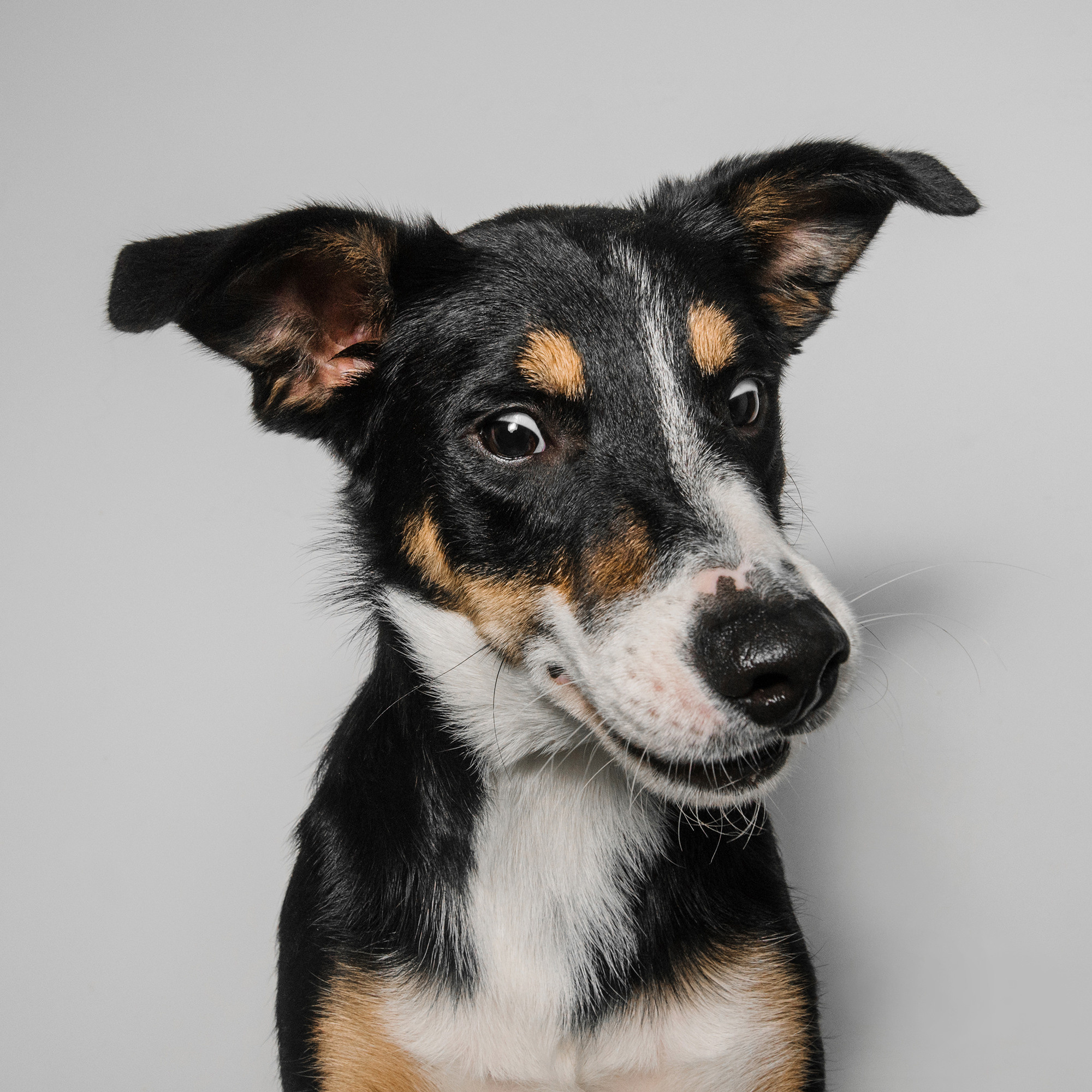 Съёмка с кусочком. Фотограф Анна Тюрина