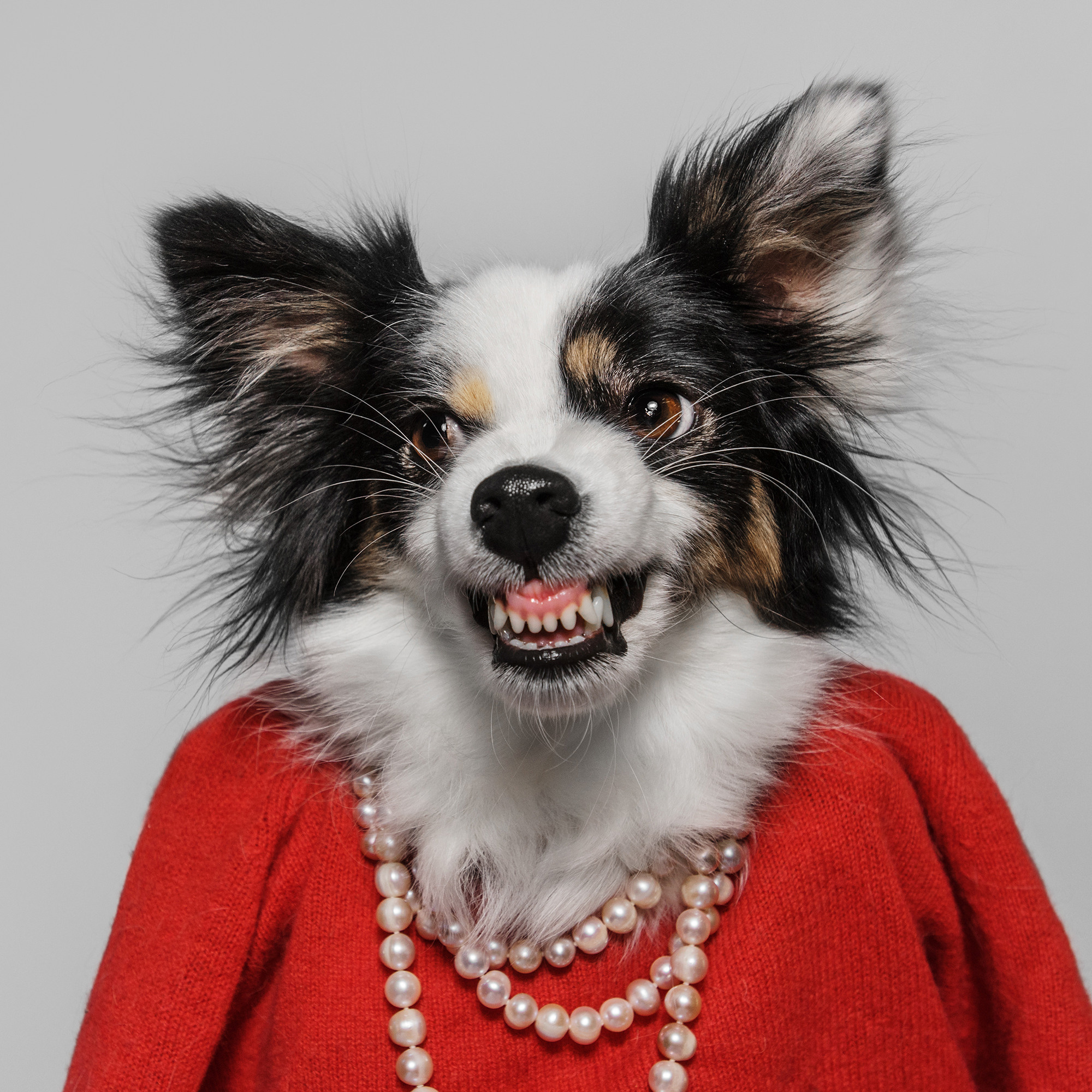 Съёмка с кусочком. Фотограф Анна Тюрина