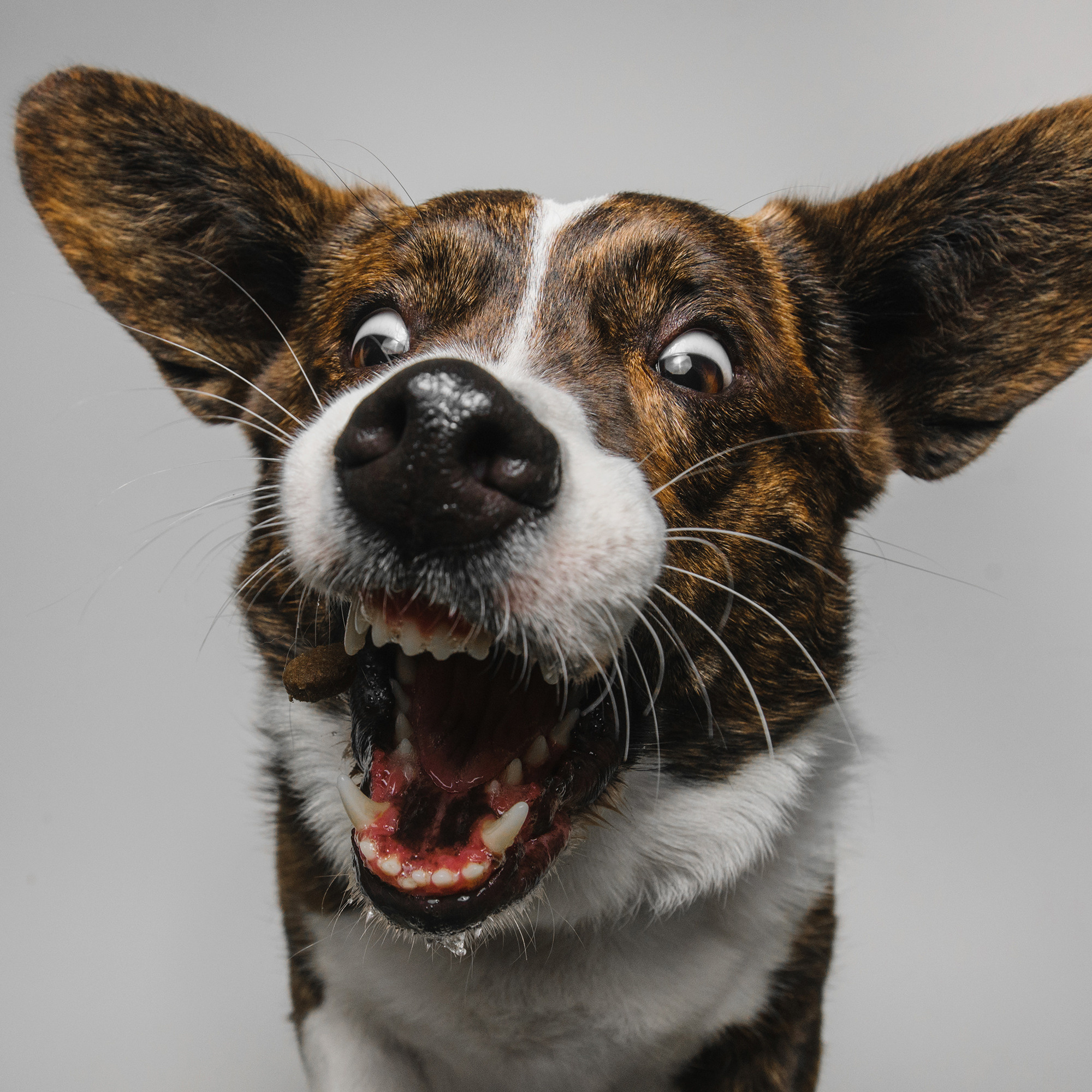 Съёмка с кусочком. Фотограф Анна Тюрина