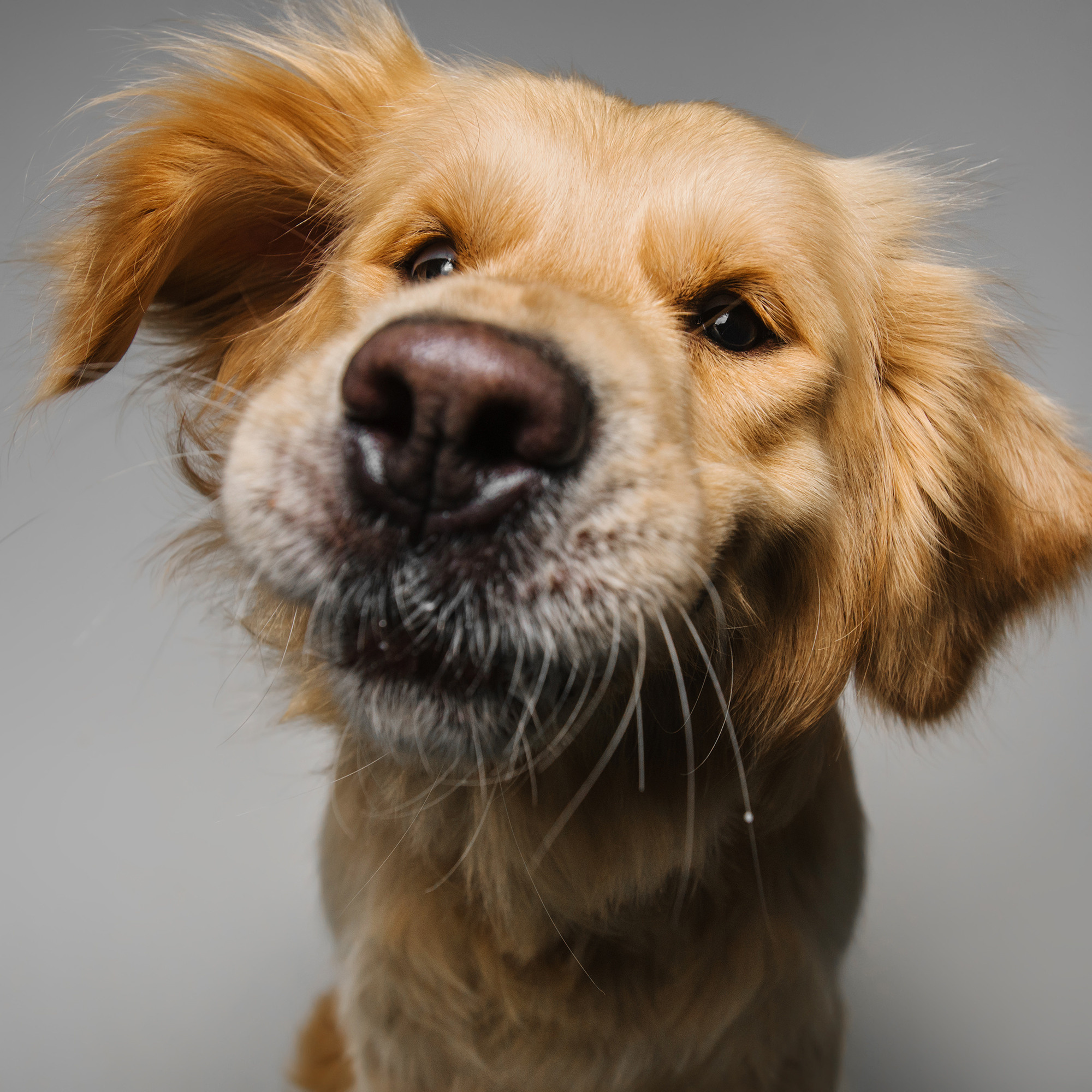 Съёмка с кусочком. Фотограф Анна Тюрина