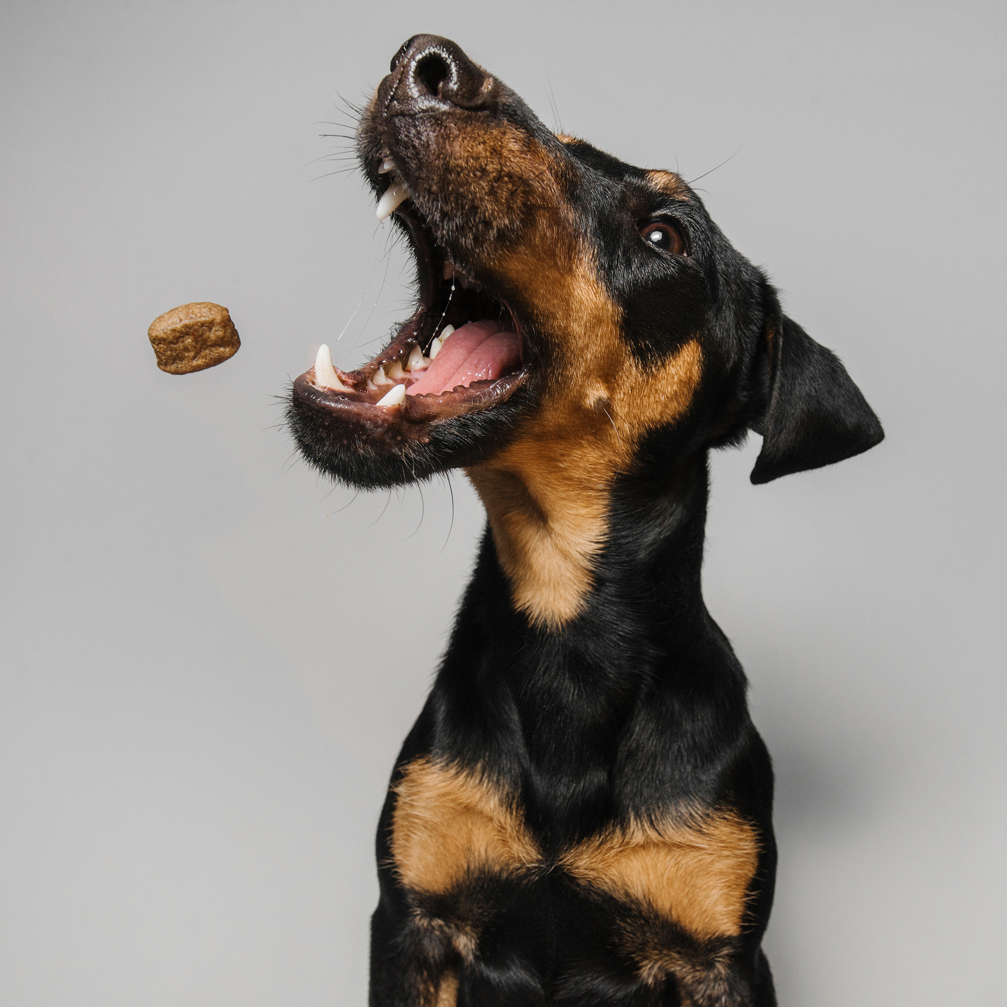 Съёмка с кусочком. Фотограф Анна Тюрина