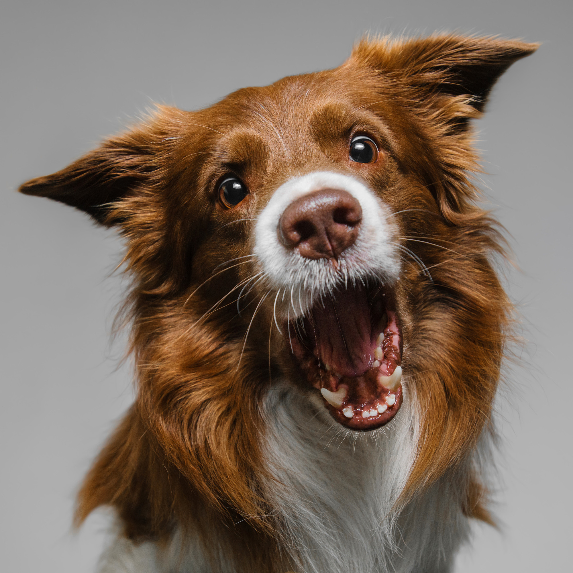 Съёмка с кусочком. Фотограф Анна Тюрина