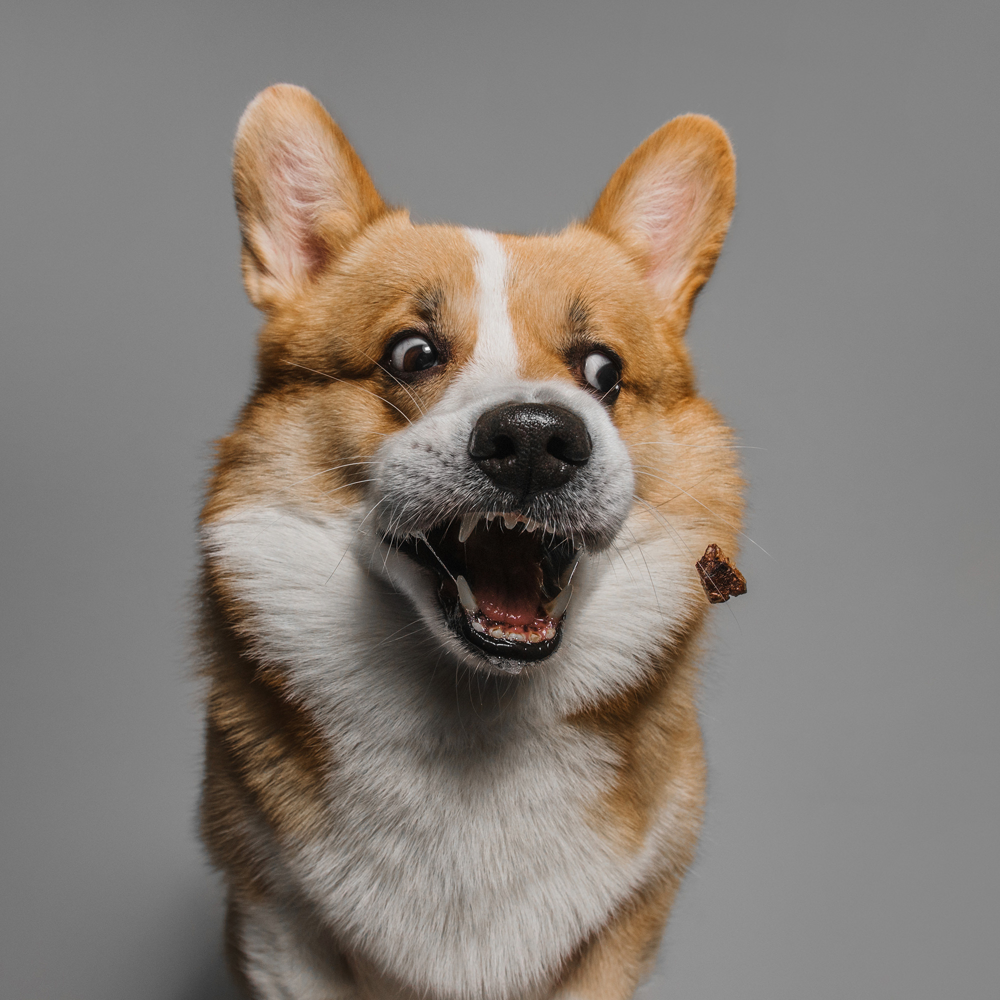 Съёмка с кусочком. Фотограф Анна Тюрина