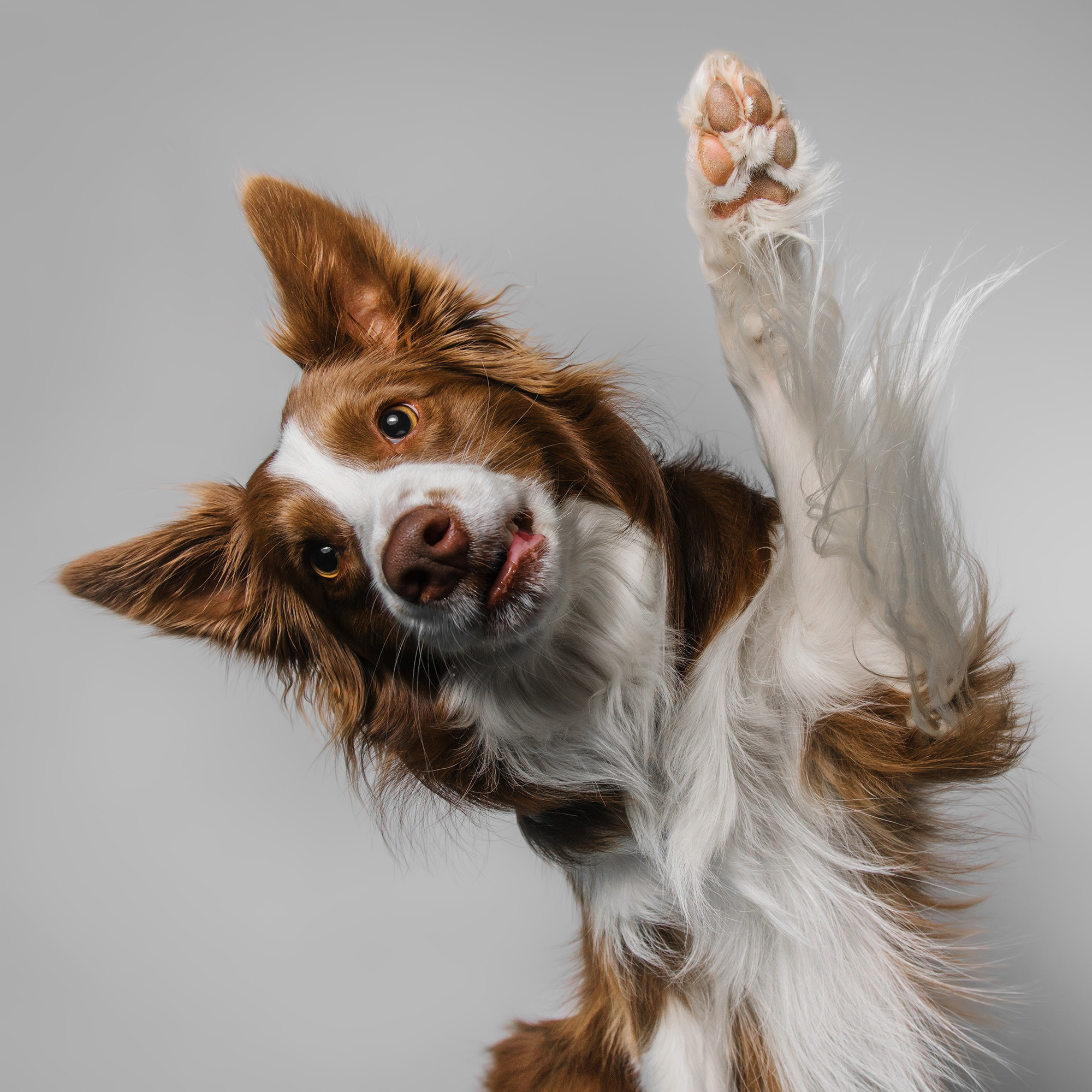 Съёмка с кусочком. Фотограф Анна Тюрина