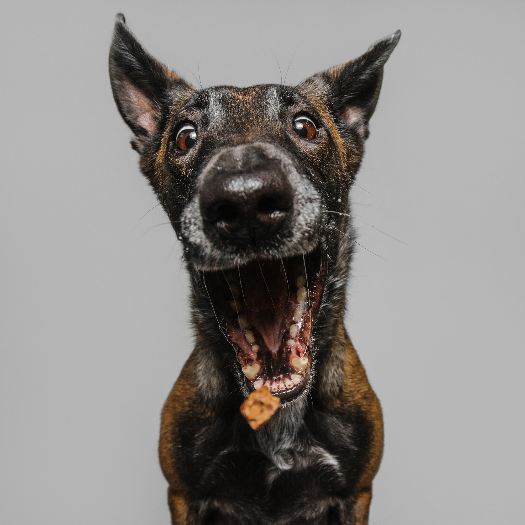 Съёмка с кусочком. Фотограф Анна Тюрина