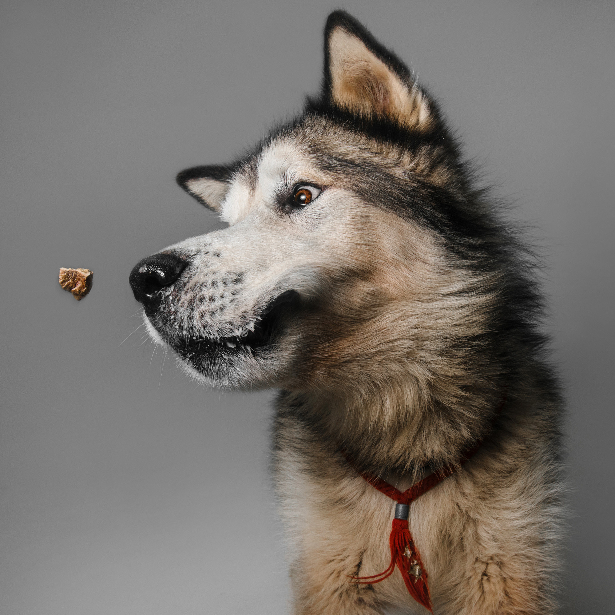 Съёмка с кусочком. Фотограф Анна Тюрина