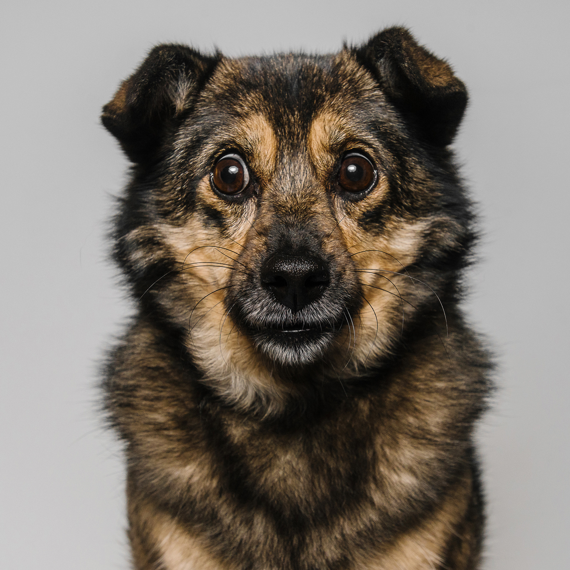 Съёмка с кусочком. Фотограф Анна Тюрина