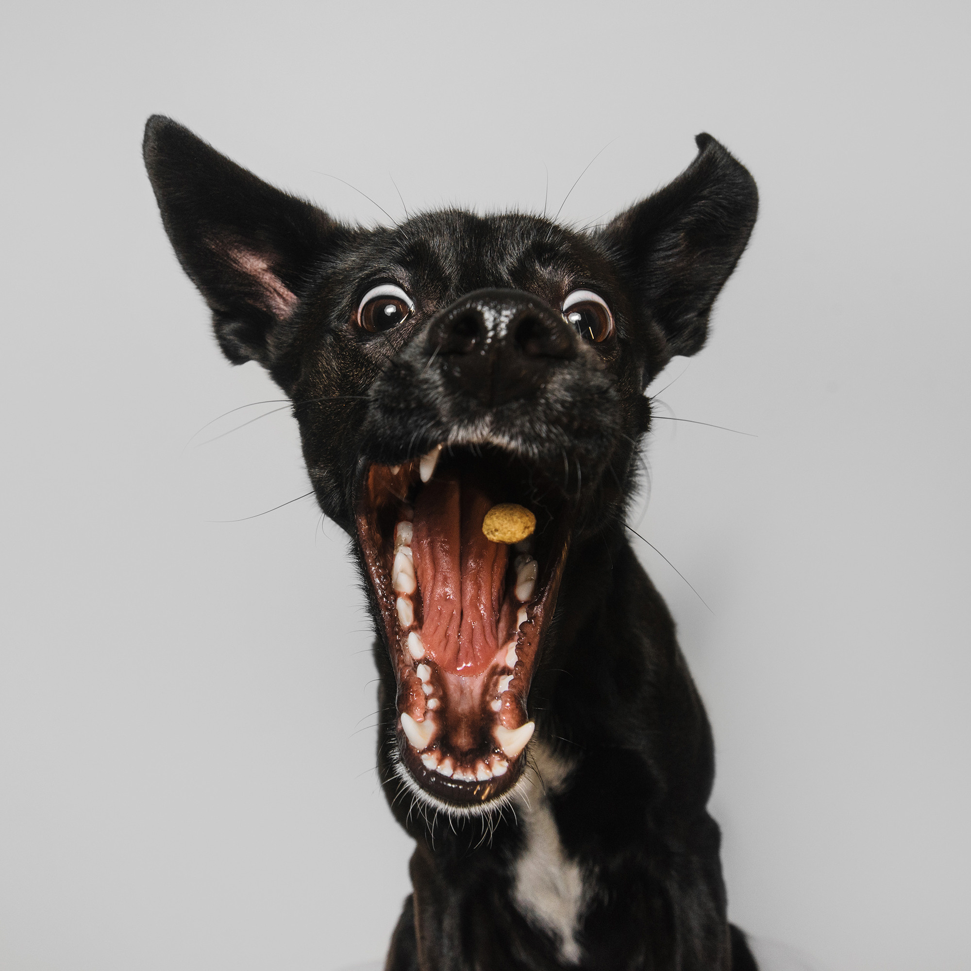 Съёмка с кусочком. Фотограф Анна Тюрина