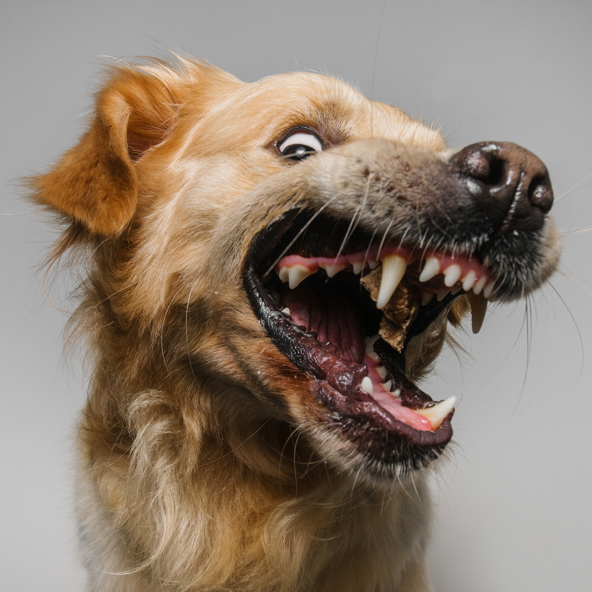 Съёмка с кусочком. Фотограф Анна Тюрина