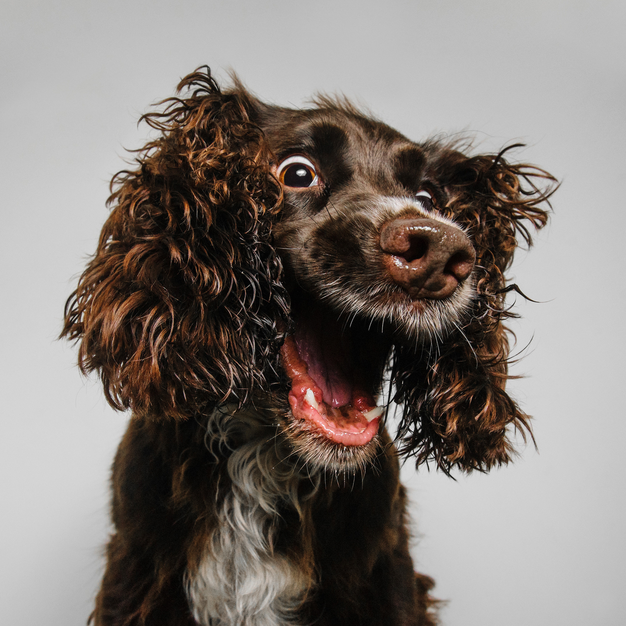 Съёмка с кусочком. Фотограф Анна Тюрина