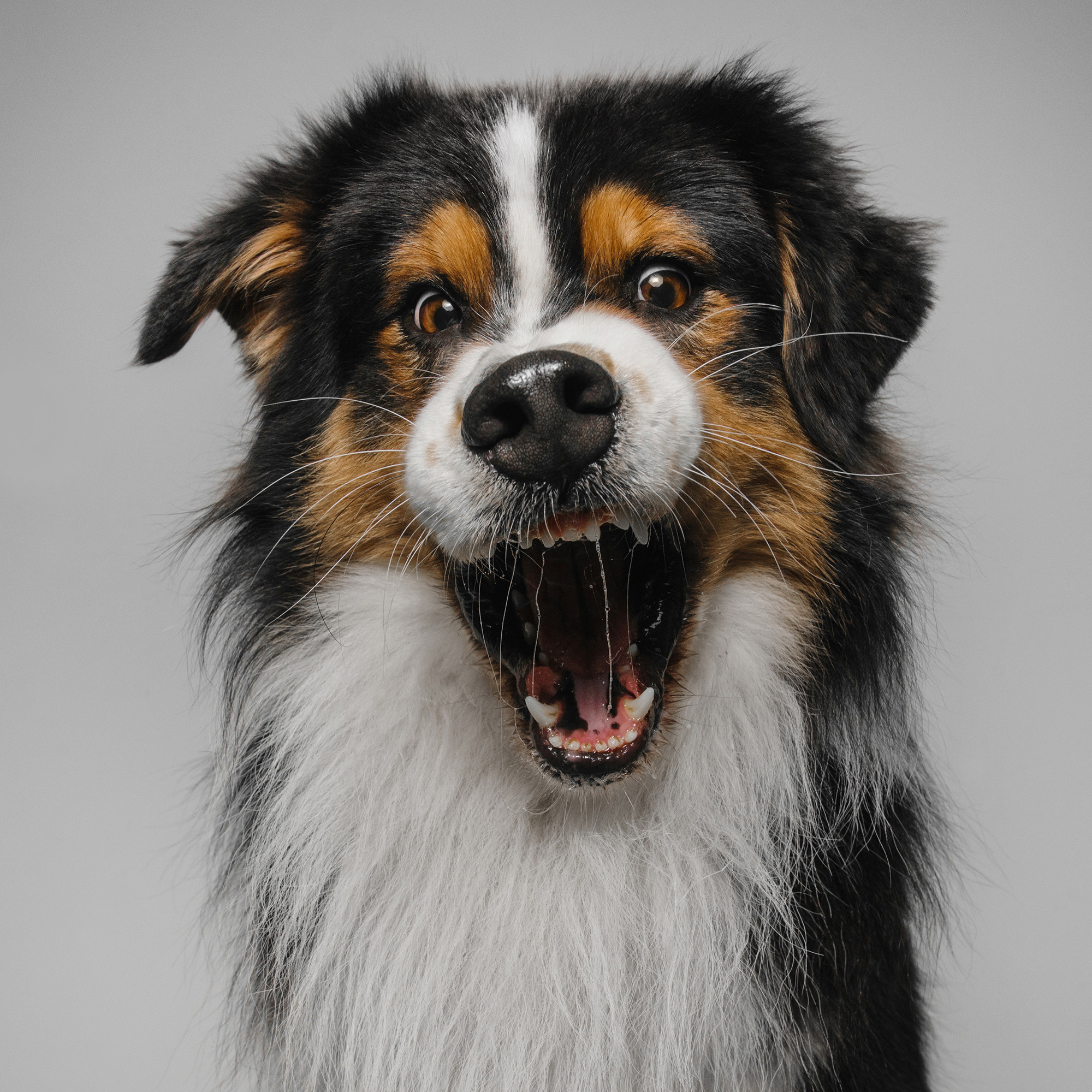 Съёмка с кусочком. Фотограф Анна Тюрина