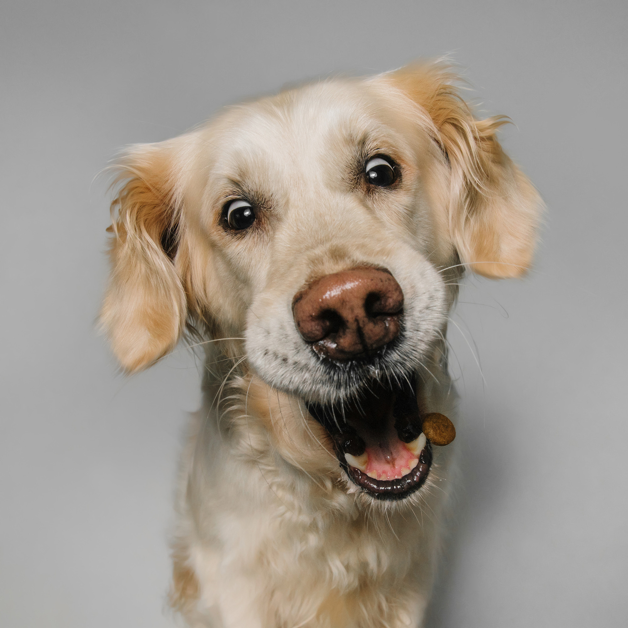 Съёмка с кусочком. Фотограф Анна Тюрина