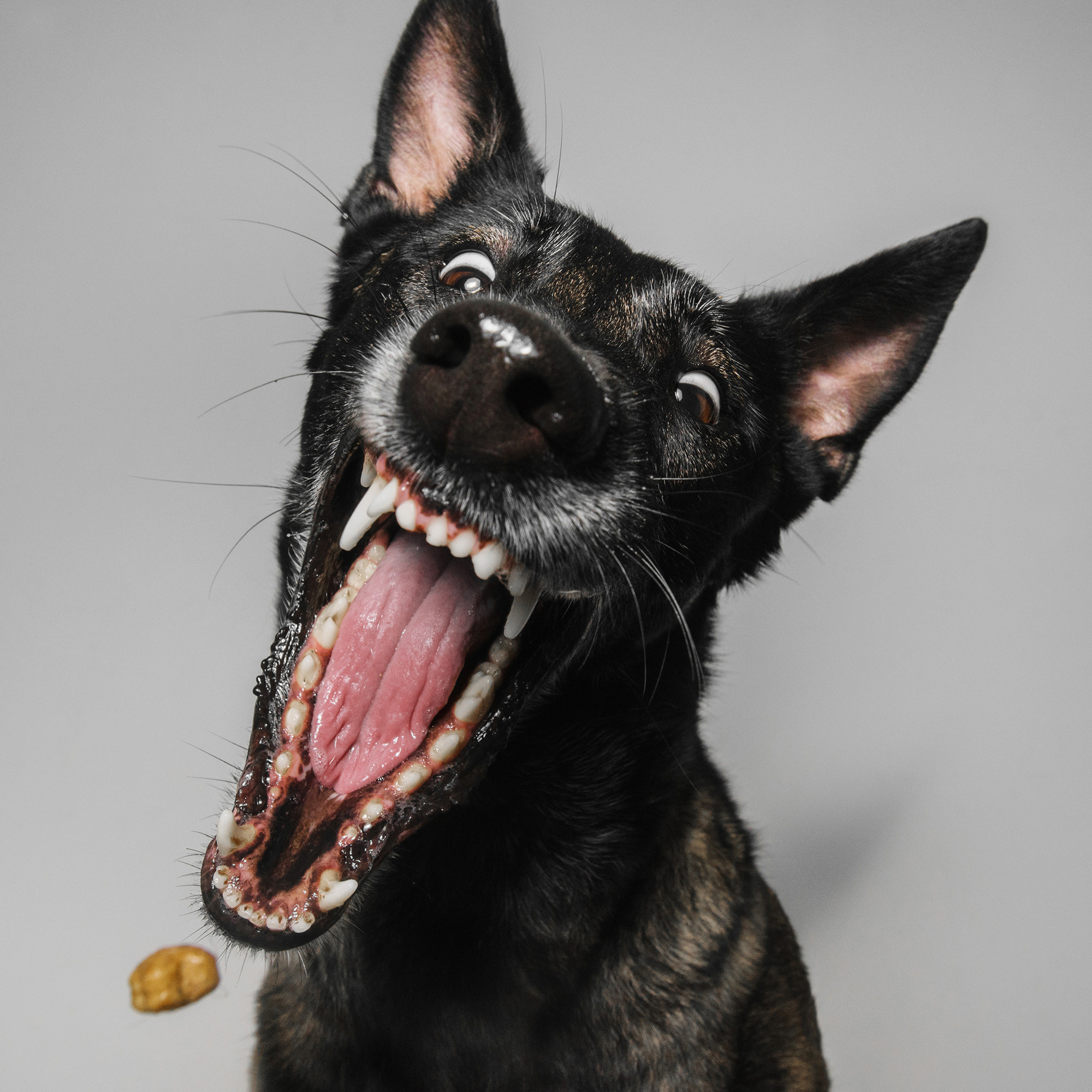 Съёмка с кусочком. Фотограф Анна Тюрина