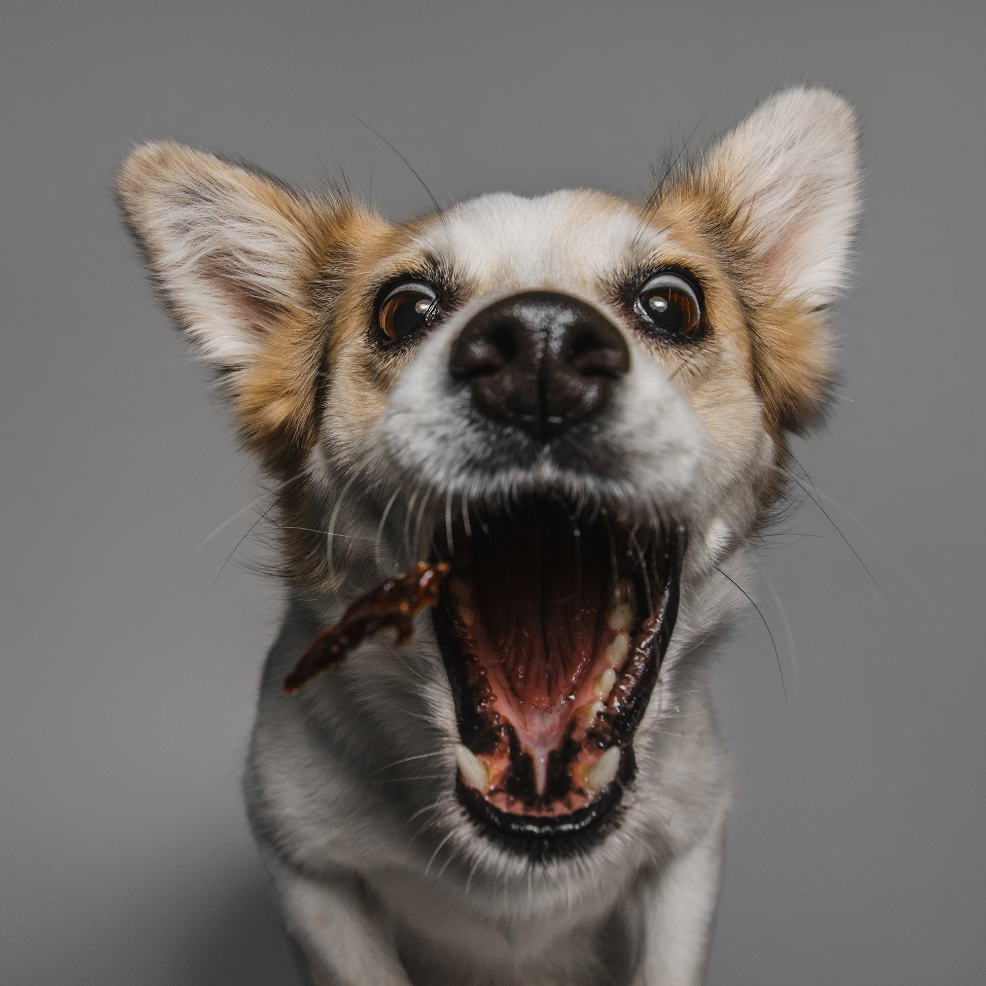 Съёмка с кусочком. Фотограф Анна Тюрина