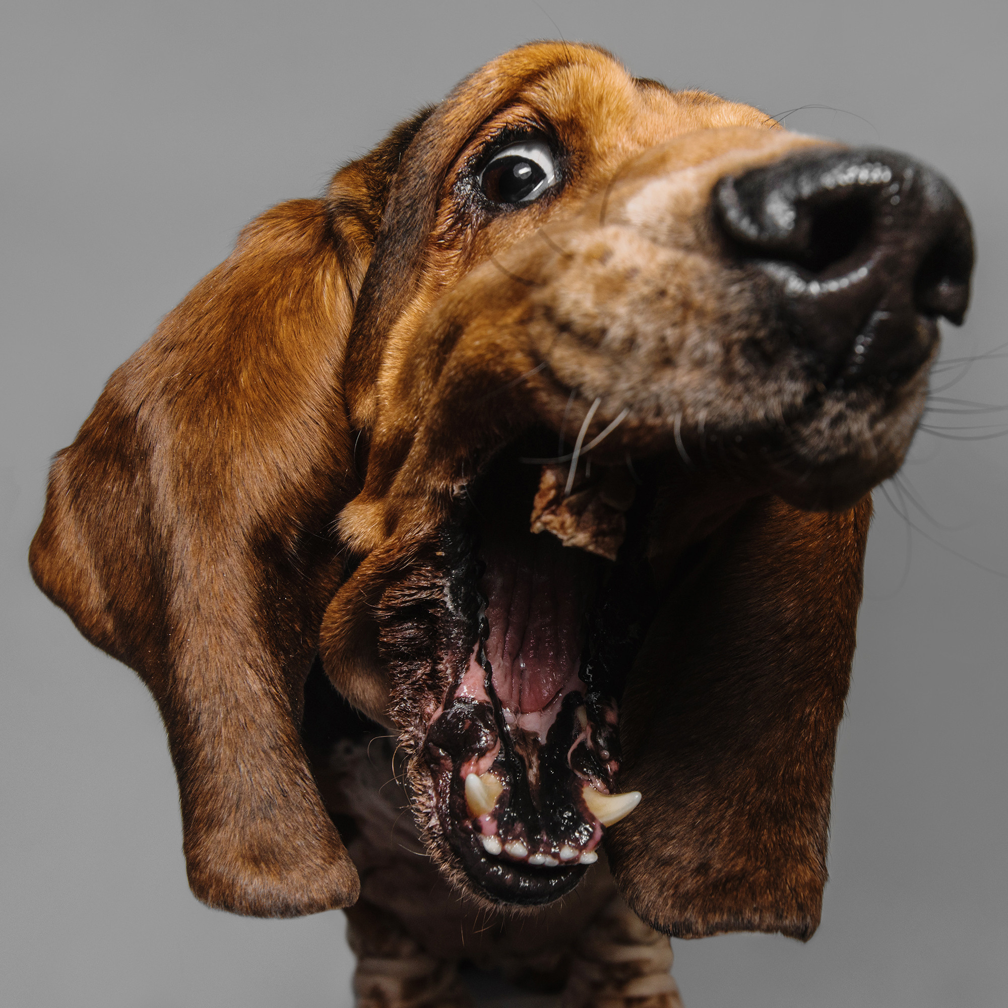 Съёмка с кусочком. Фотограф Анна Тюрина