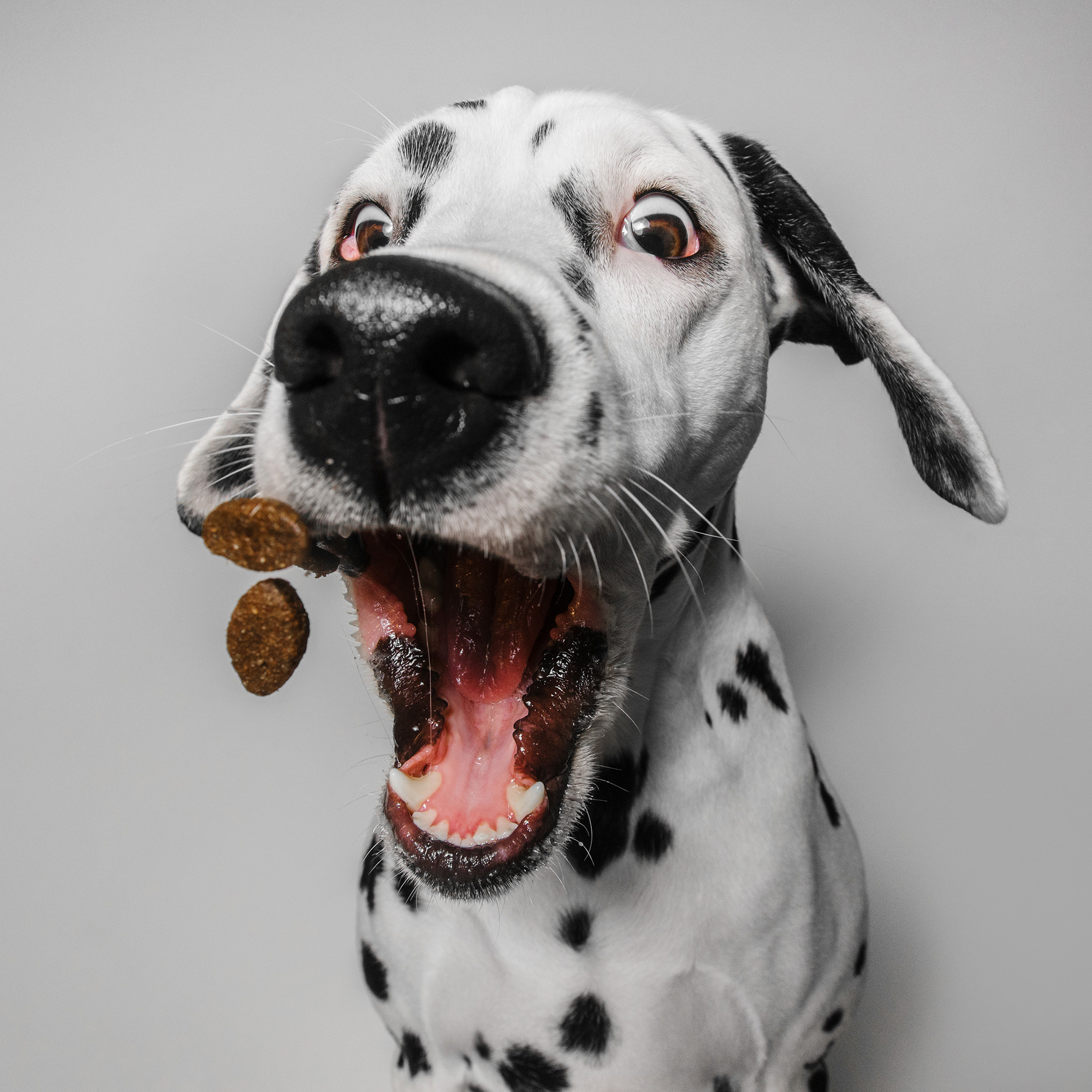 Съёмка с кусочком. Фотограф Анна Тюрина