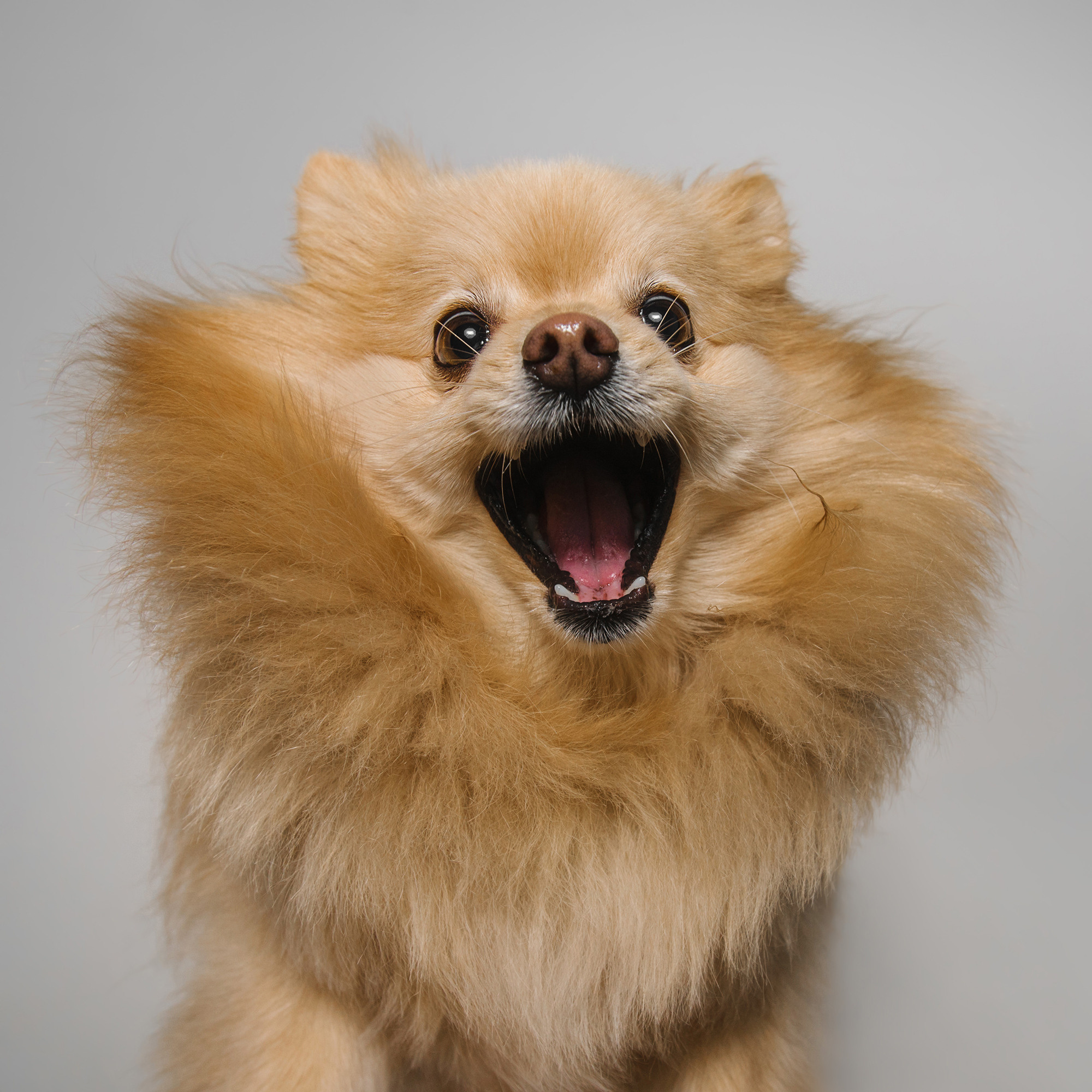 Съёмка с кусочком. Фотограф Анна Тюрина