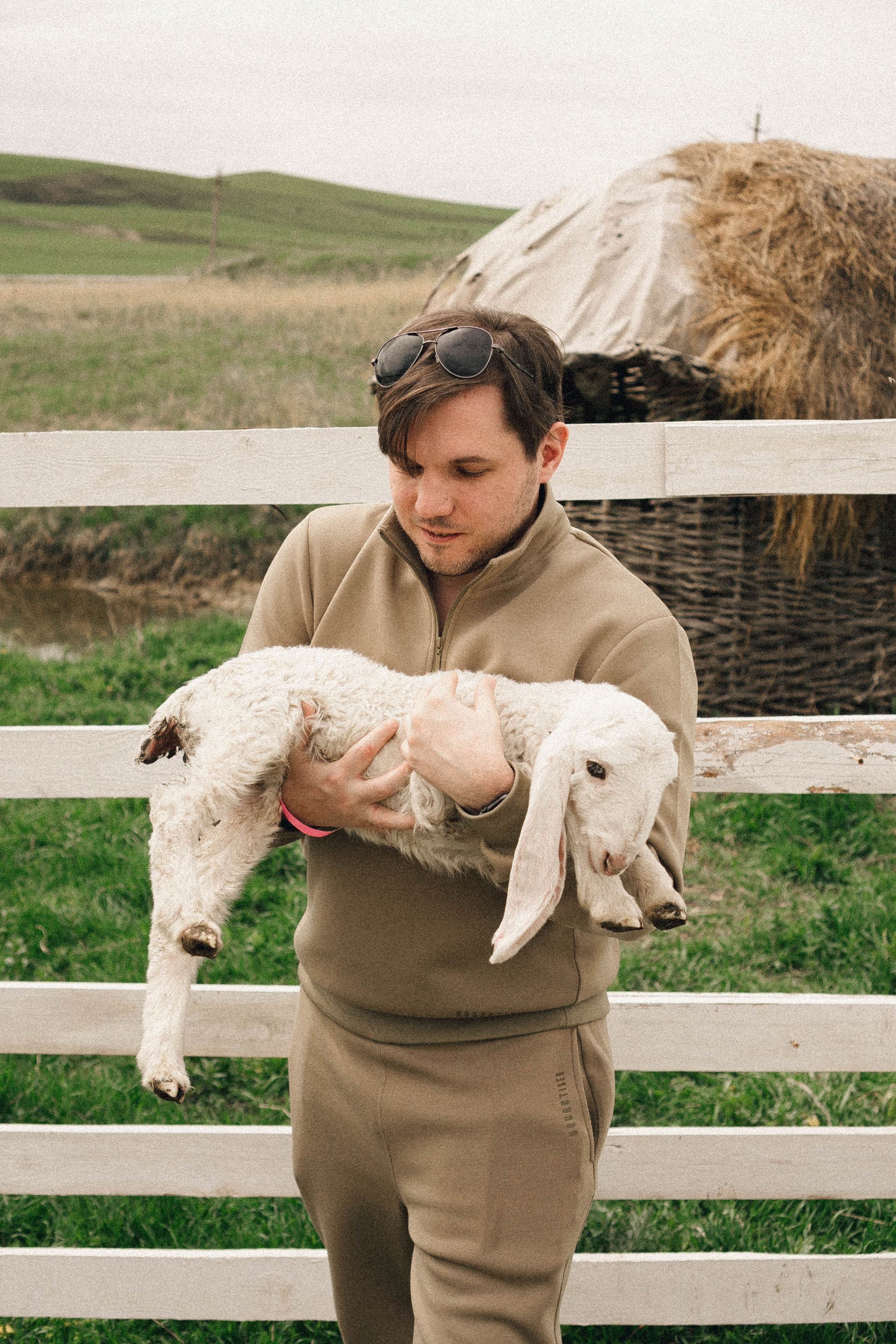 Ферма Альпак. Профессиональный фотограф, Санкт-Петербург — Виктория Богомолова