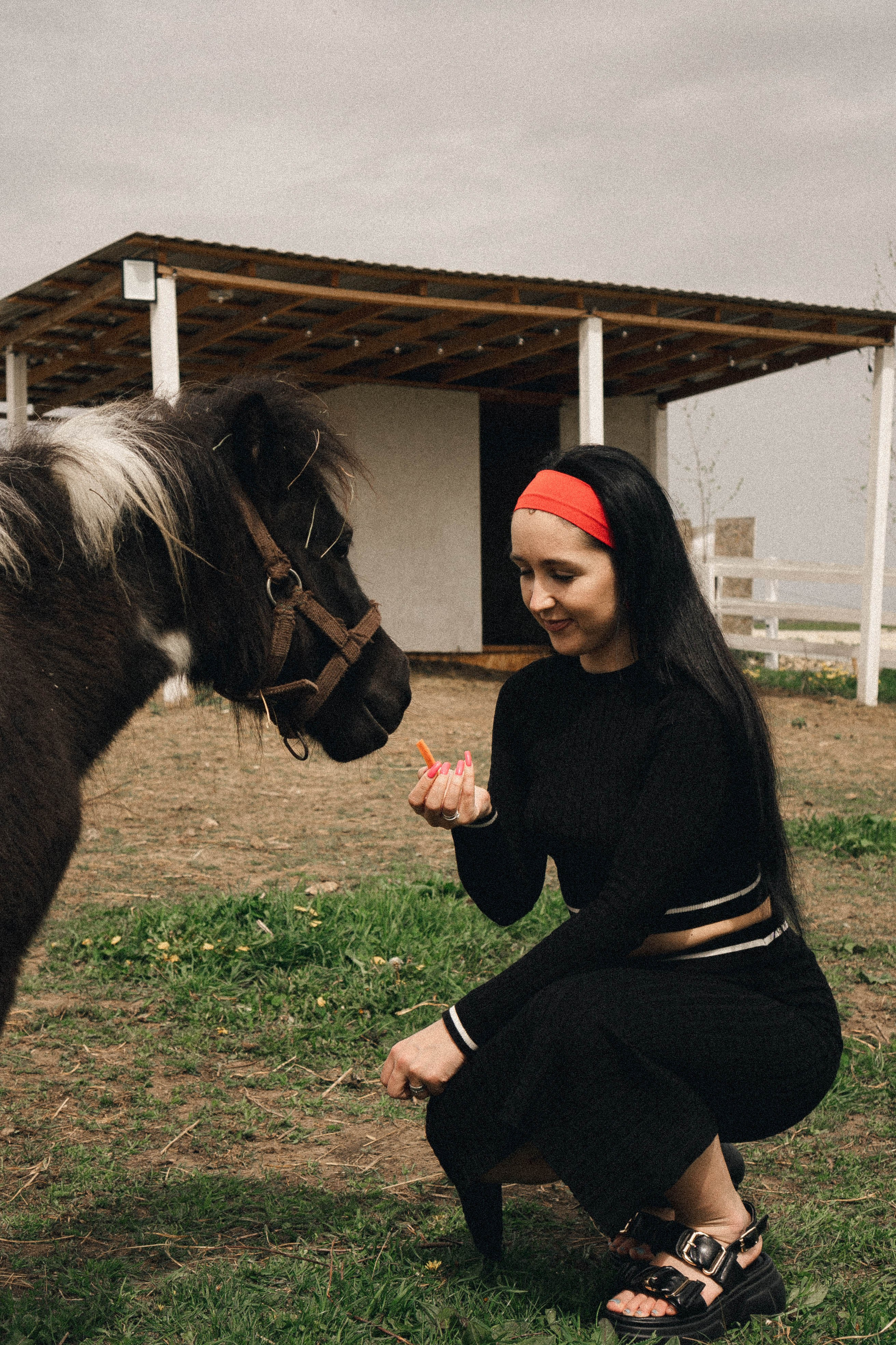 Ферма Альпак. Профессиональный фотограф, Санкт-Петербург — Виктория Богомолова