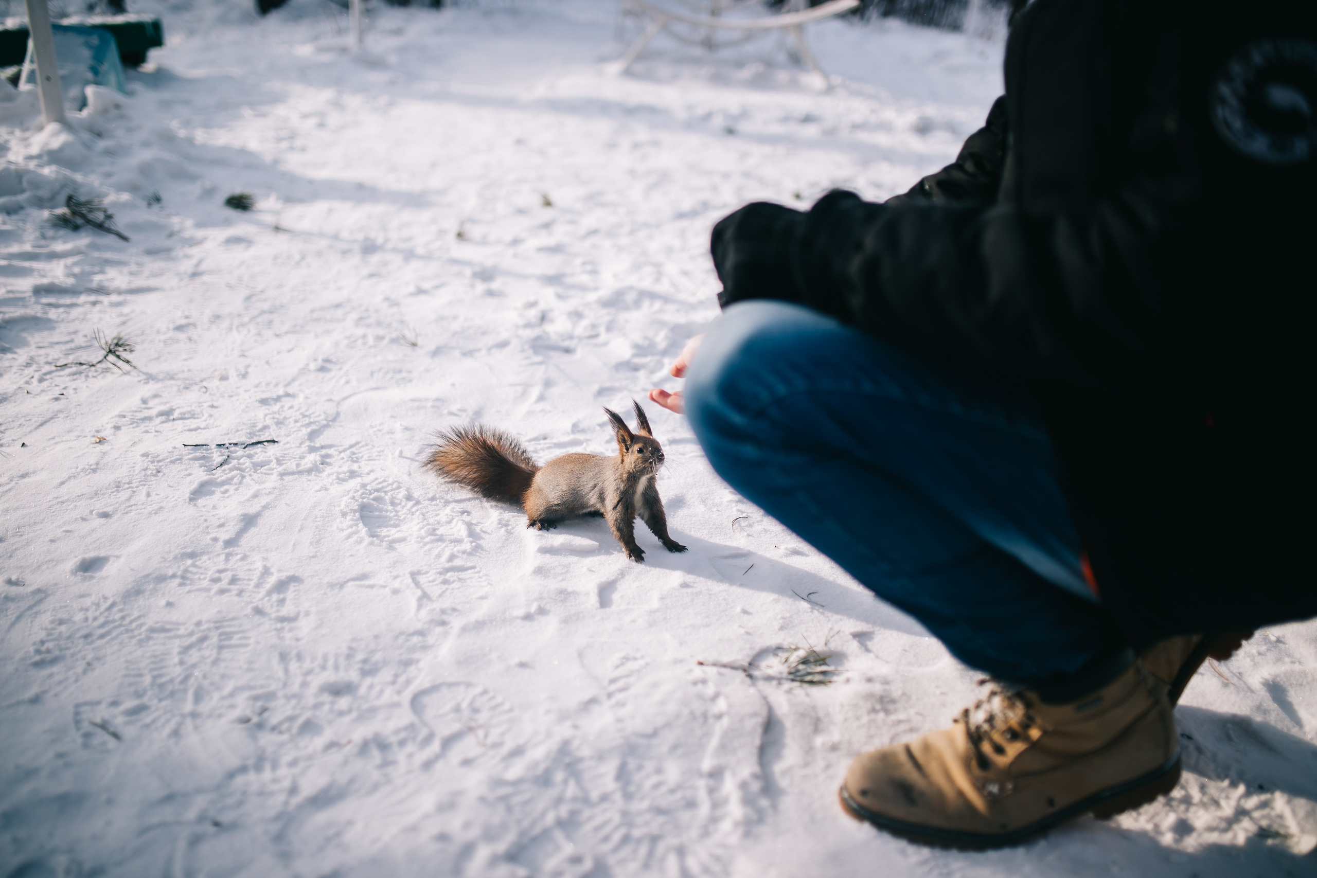 Теплая Зима. Ustinov Photo