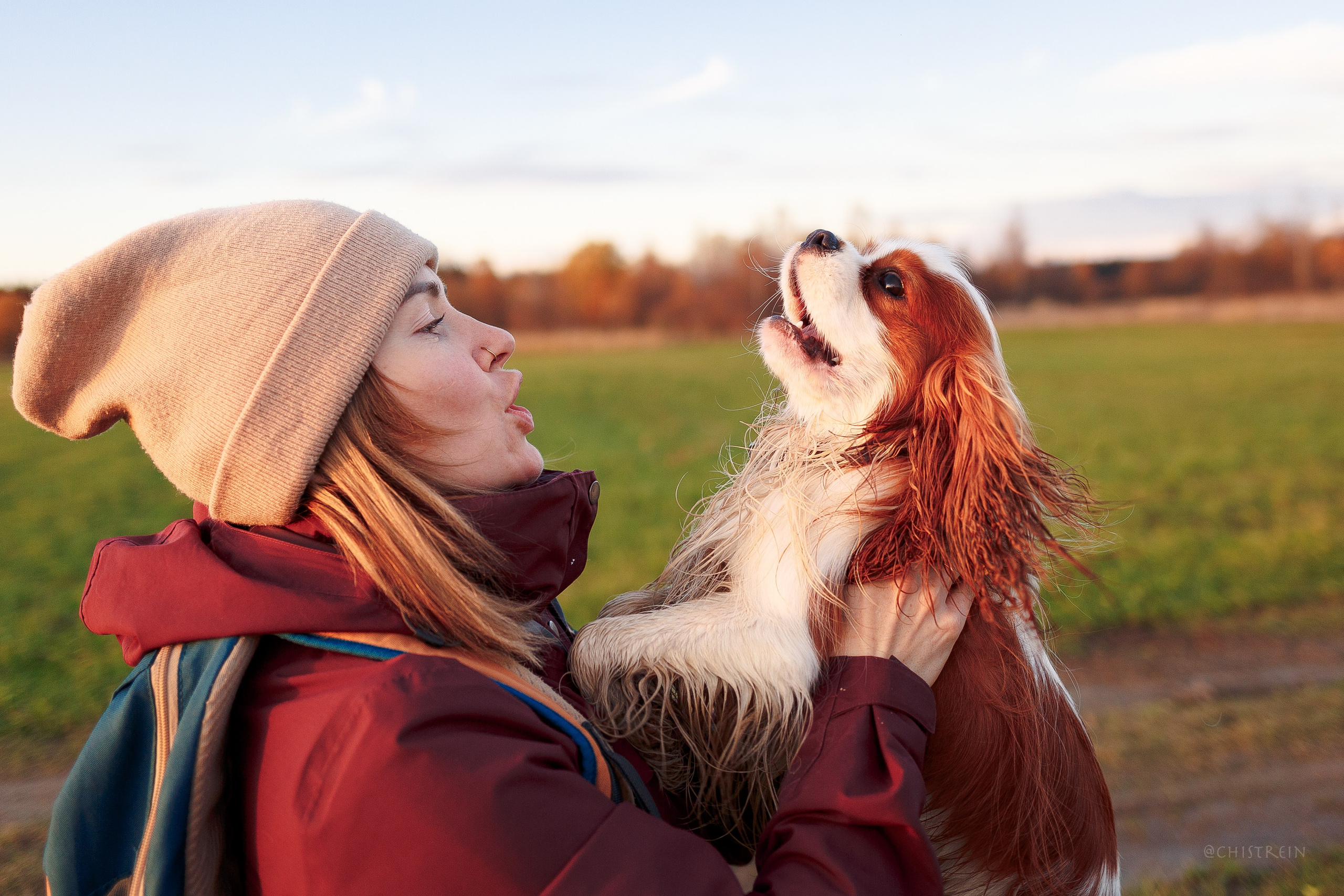 Октябрьский закат в полях. Алина и Лео. Фотограф-анималист Наталия Чистюхина в г. Сосновый Бор и ЛО