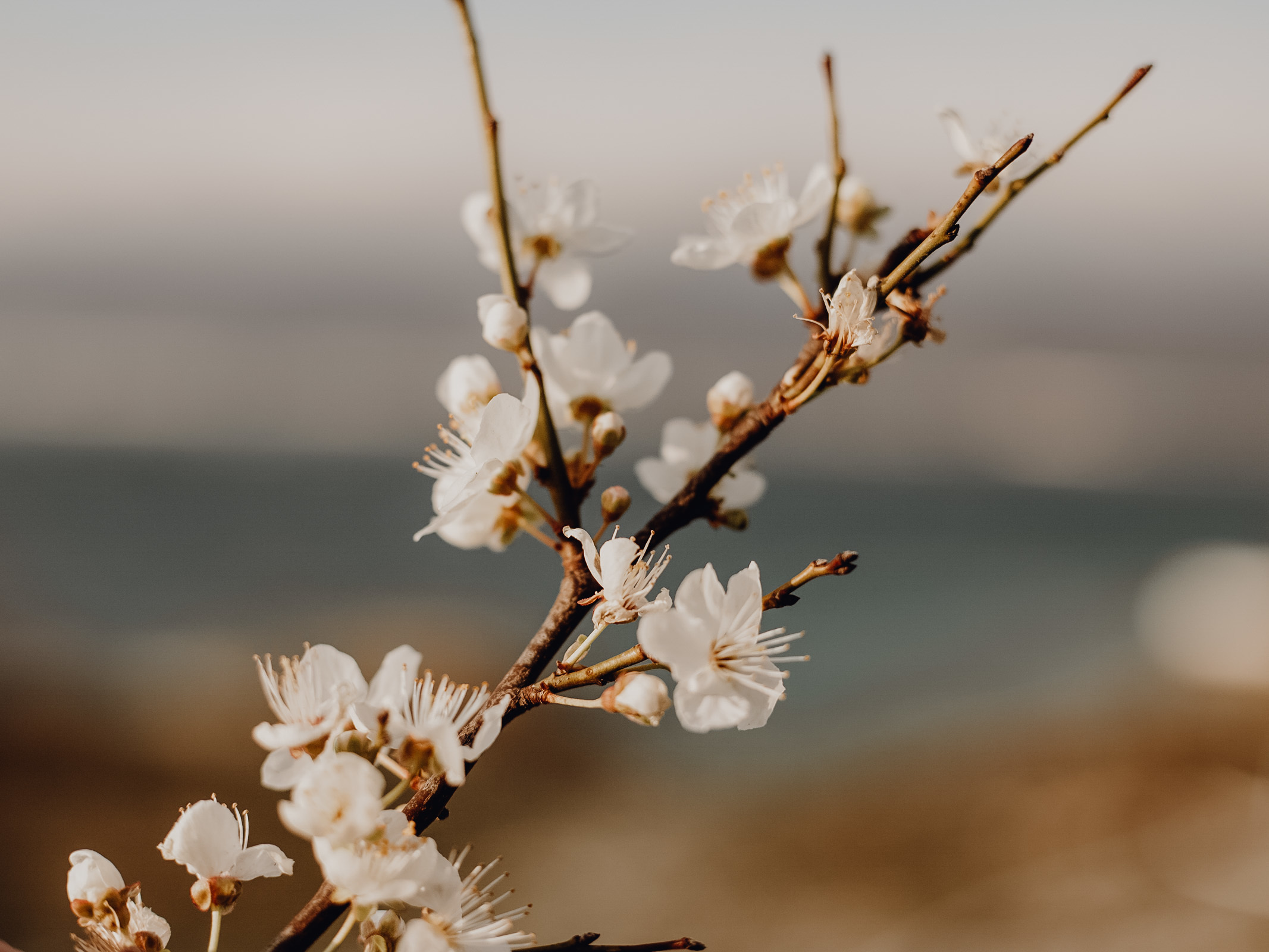Семён &Арина. Фотограф в Санкт Петербурге и Москве Анастасия Сиволод