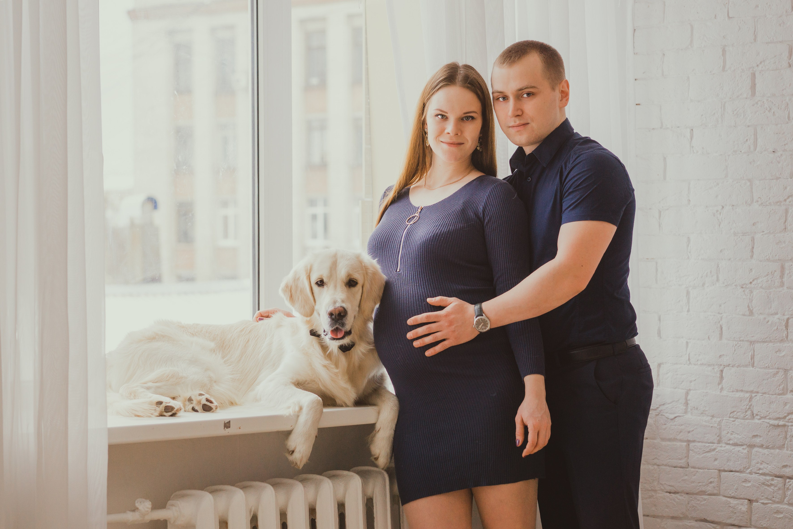 Life with dog. Saamill