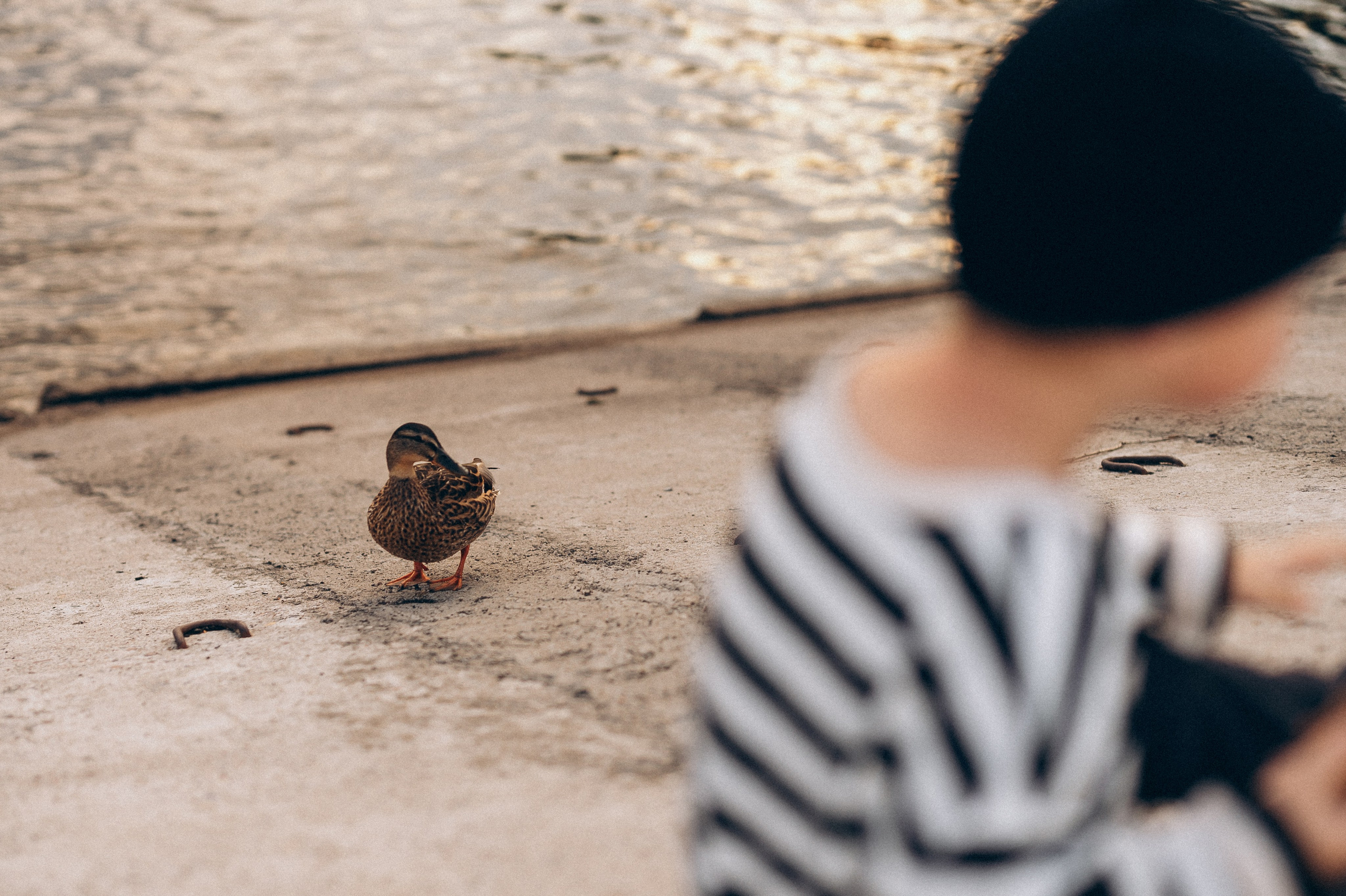 Юля и Женя. Семейный и свадебный фотограф в Красноярске Садкеева Юлия