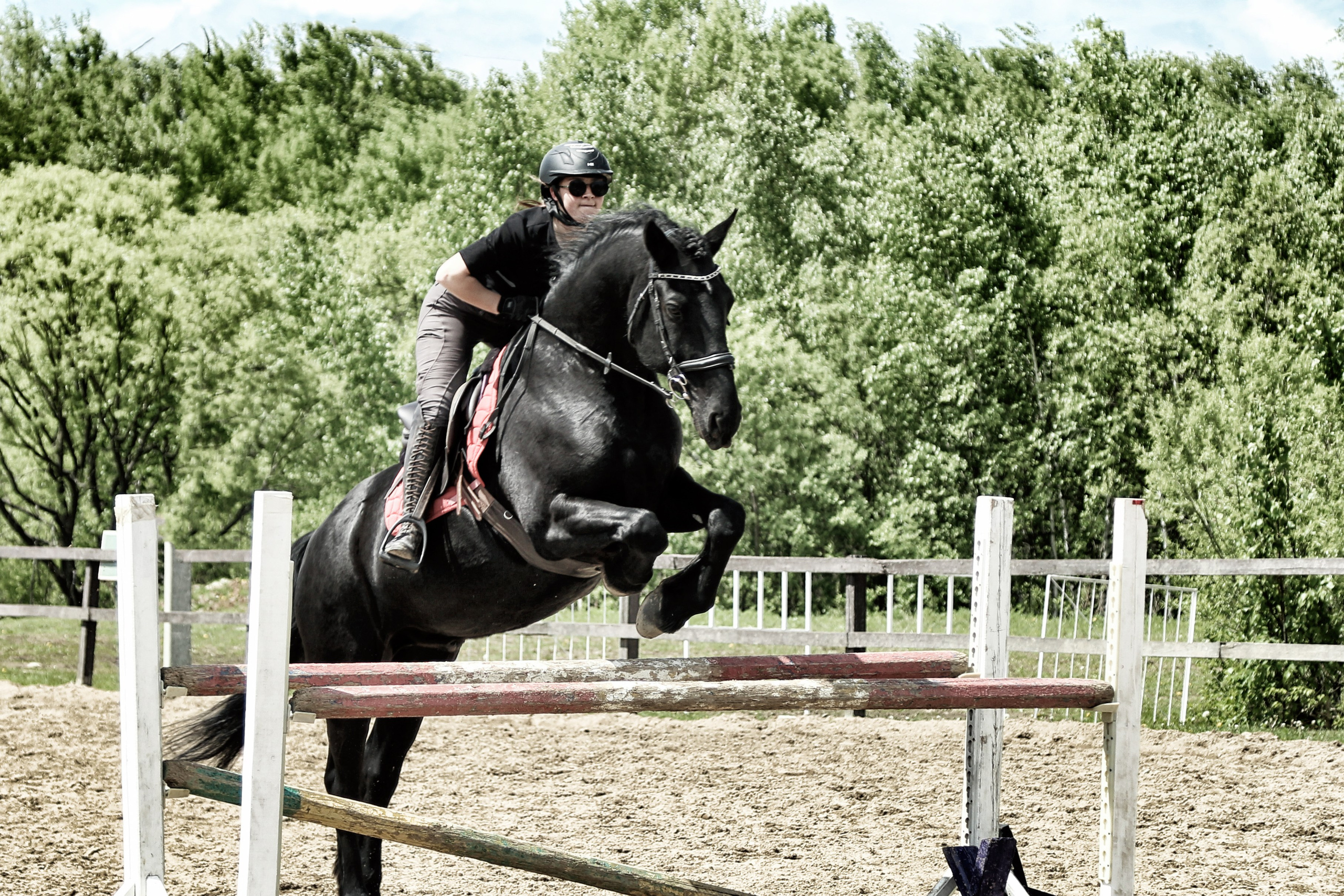 Лошади «Каскад» и «Брилиант». Алиса Томшина — Фотограф / Видеограф