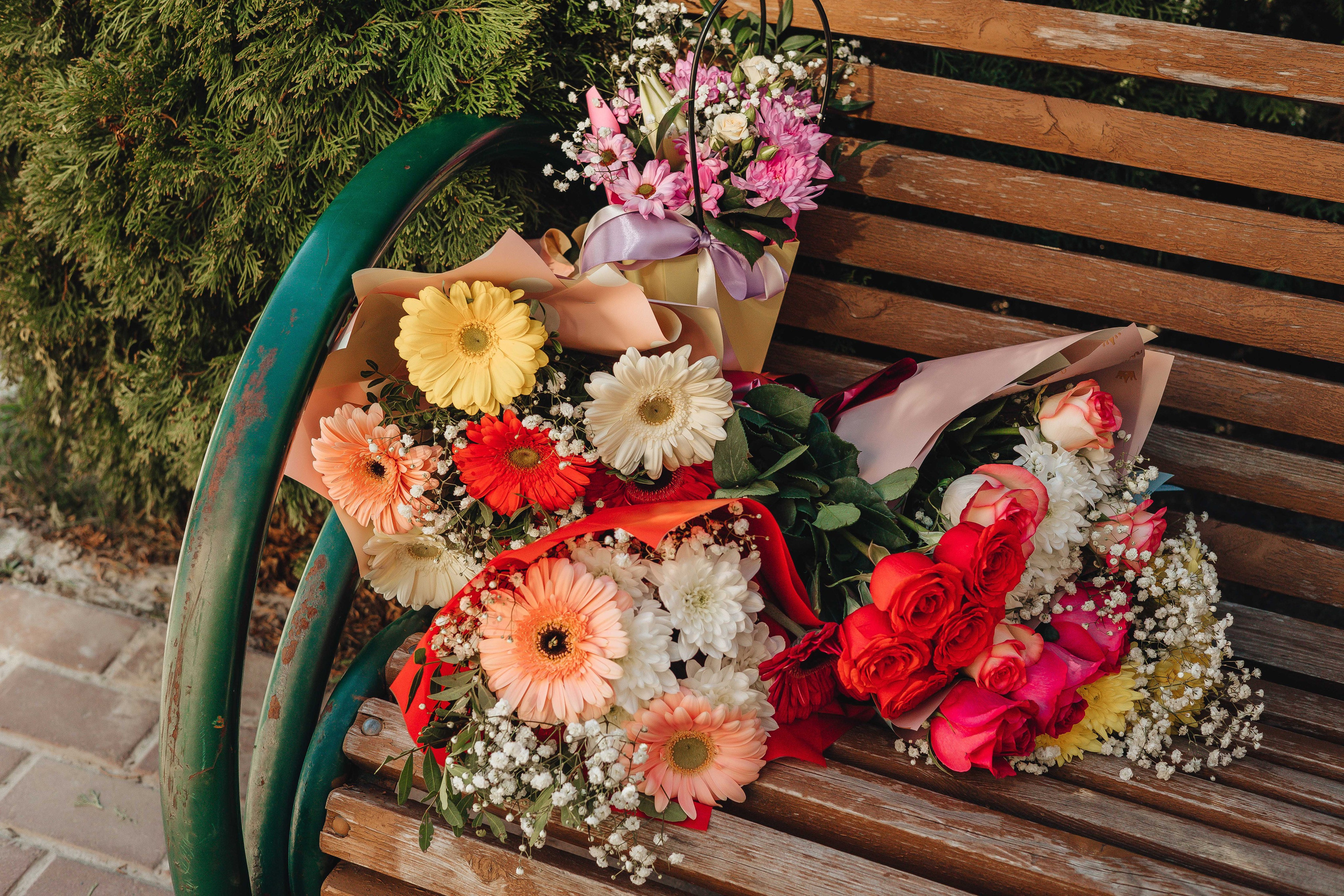 Выписка Дианы. Свадебный и семейный фотограф Пушкин Царское Село СПБ Питер Санкт-Петербург и Рязань Ольга Козлова