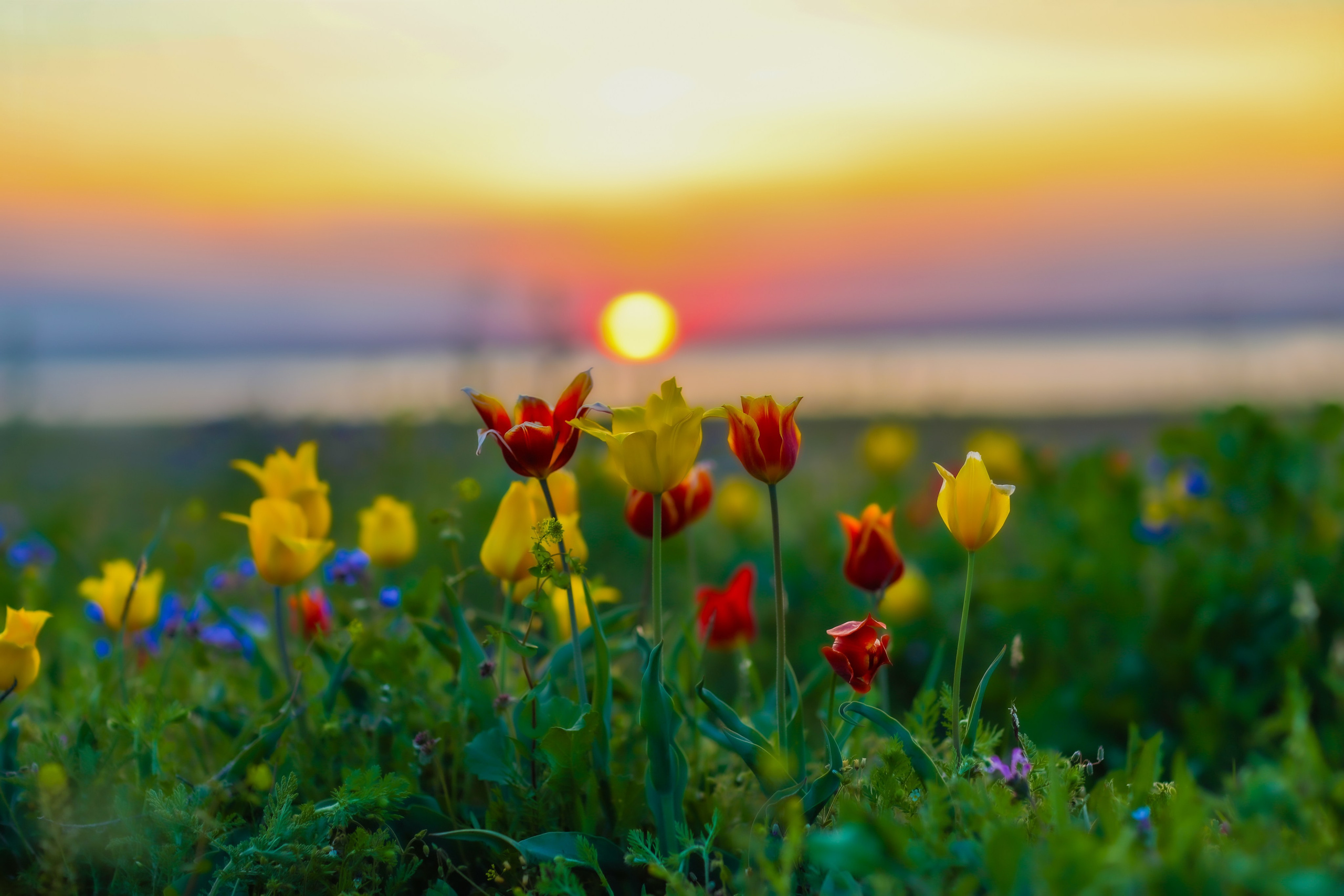 Фотограф Севастополь/Крым Светлана Евтушенко